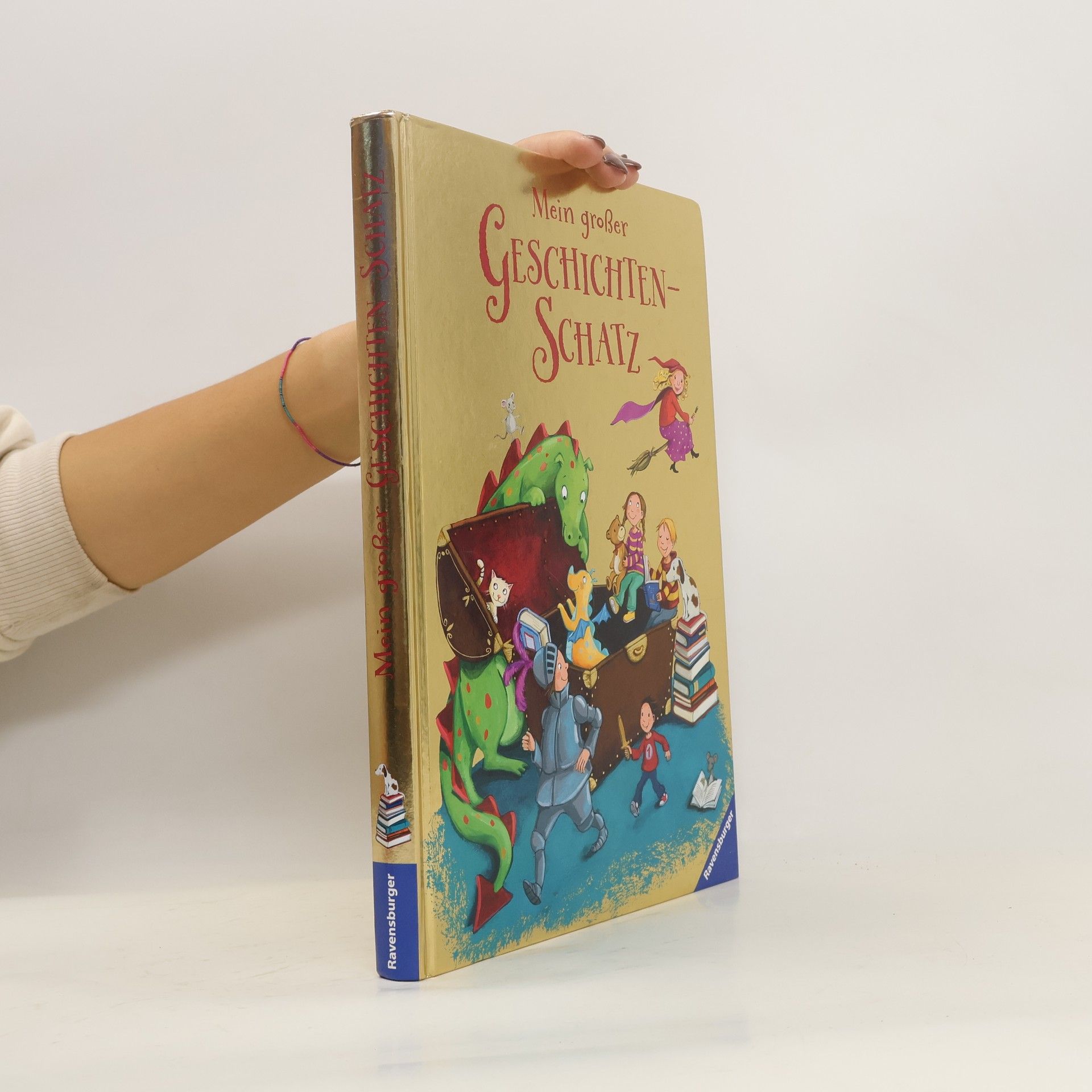 Collectif d'auteurs Mein großer Geschichten-Schatz