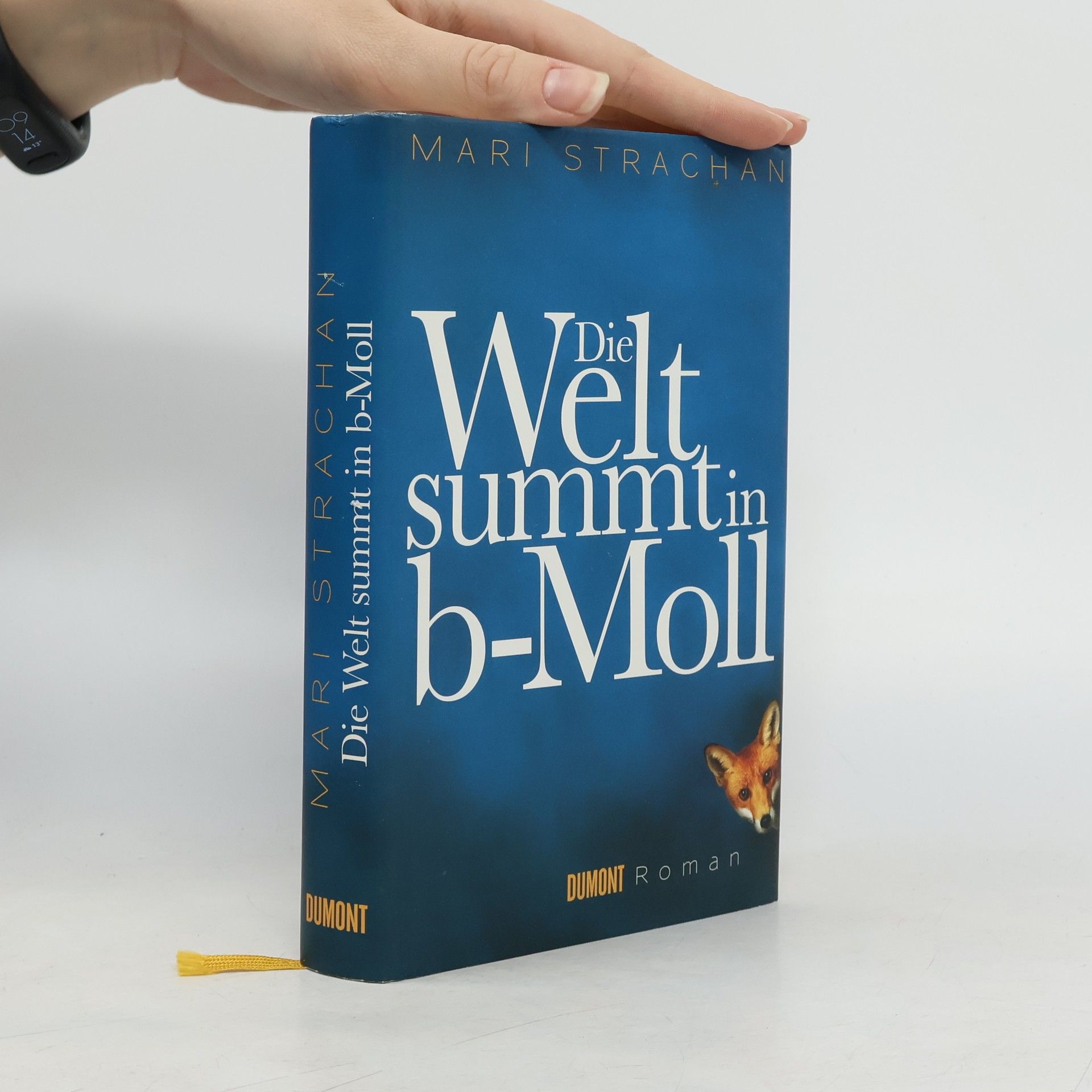 Mari Strachan Die Welt summt in b-Moll