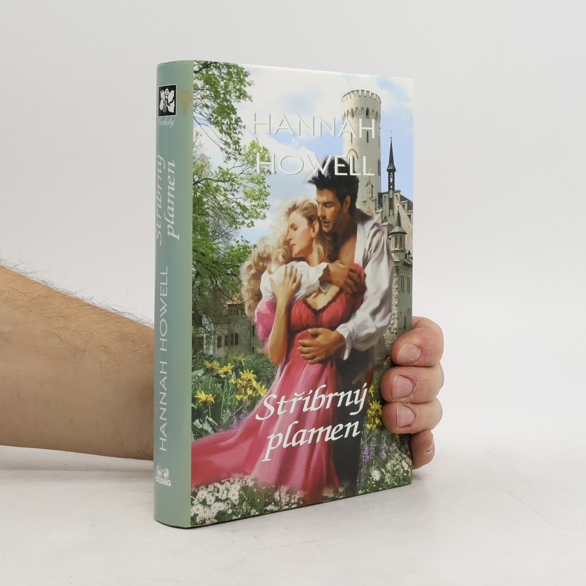 Hannah Howell Stříbrný plamen