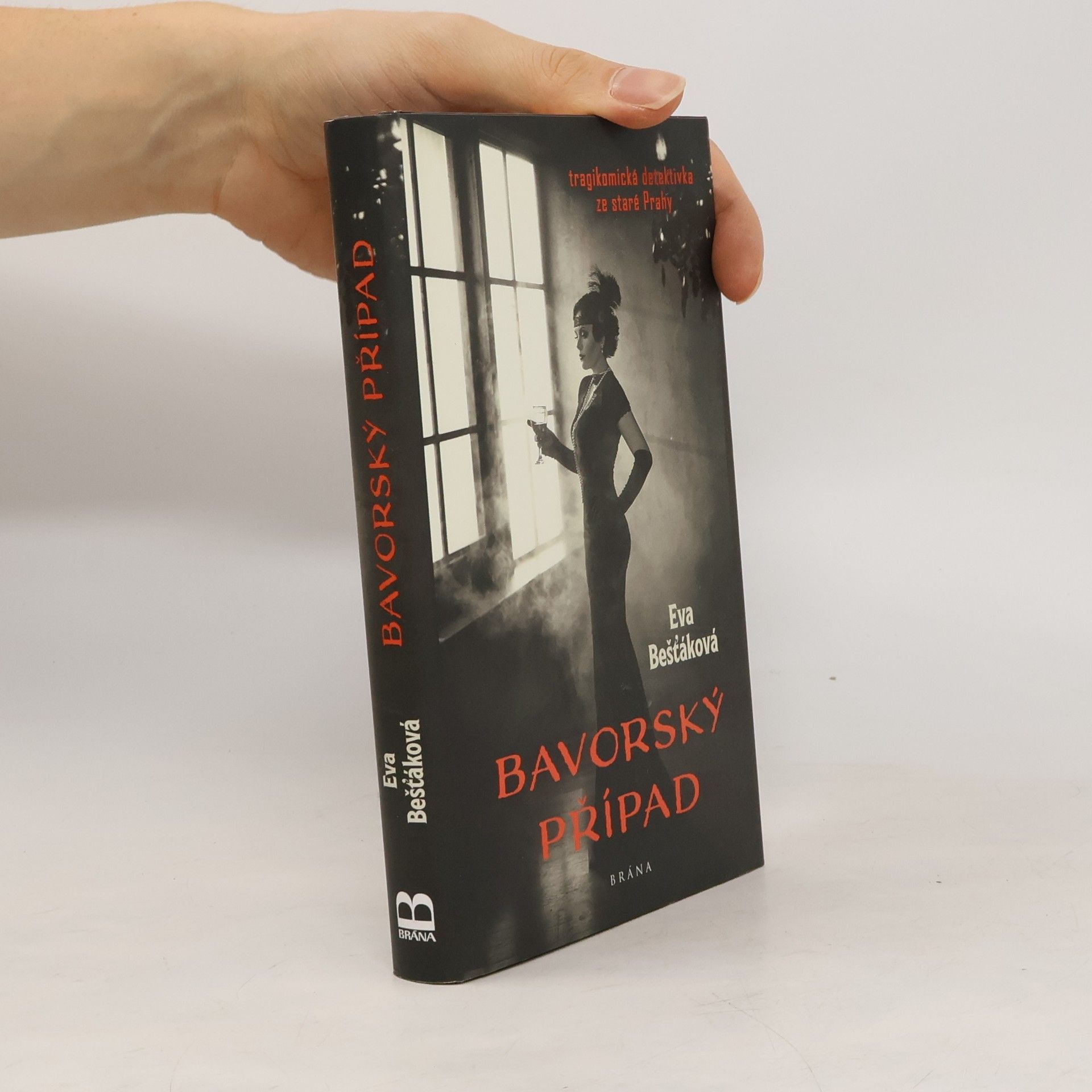 Eva Bešťáková Bavorský případ