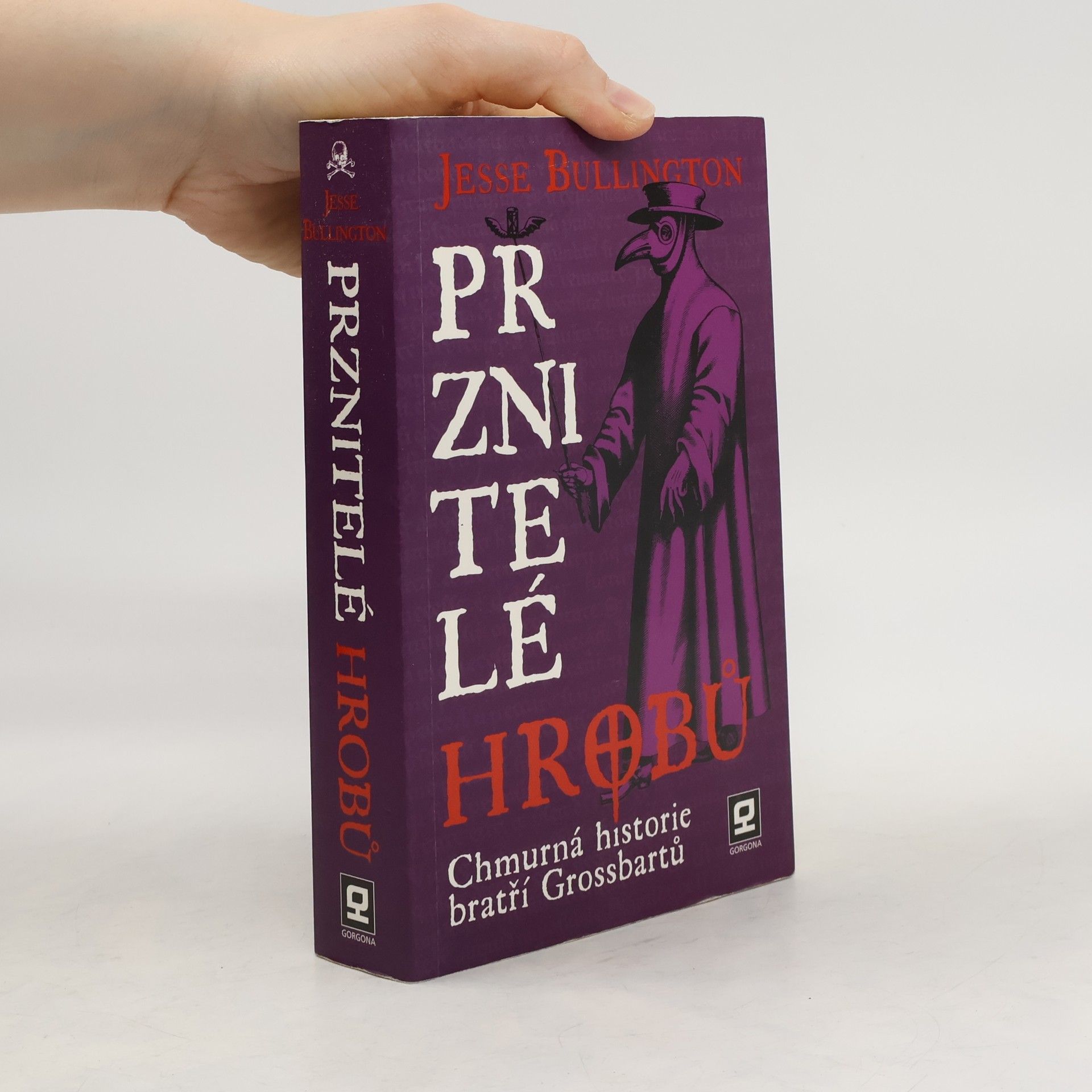 Jesse Bullington Prznitelé hrobů : chmurná historie bratří Grossbartů