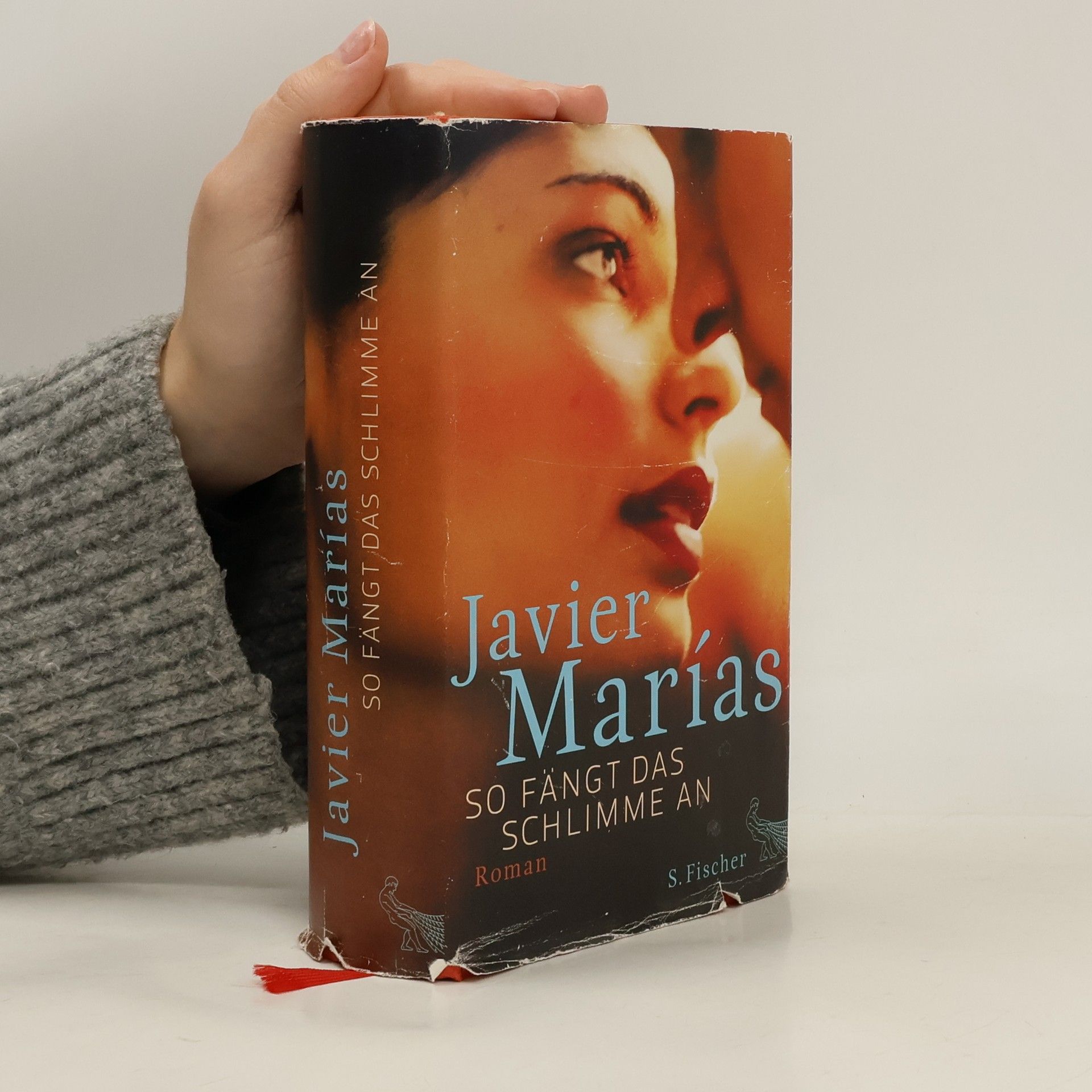 Javier Marías So fängt das Schlimme an