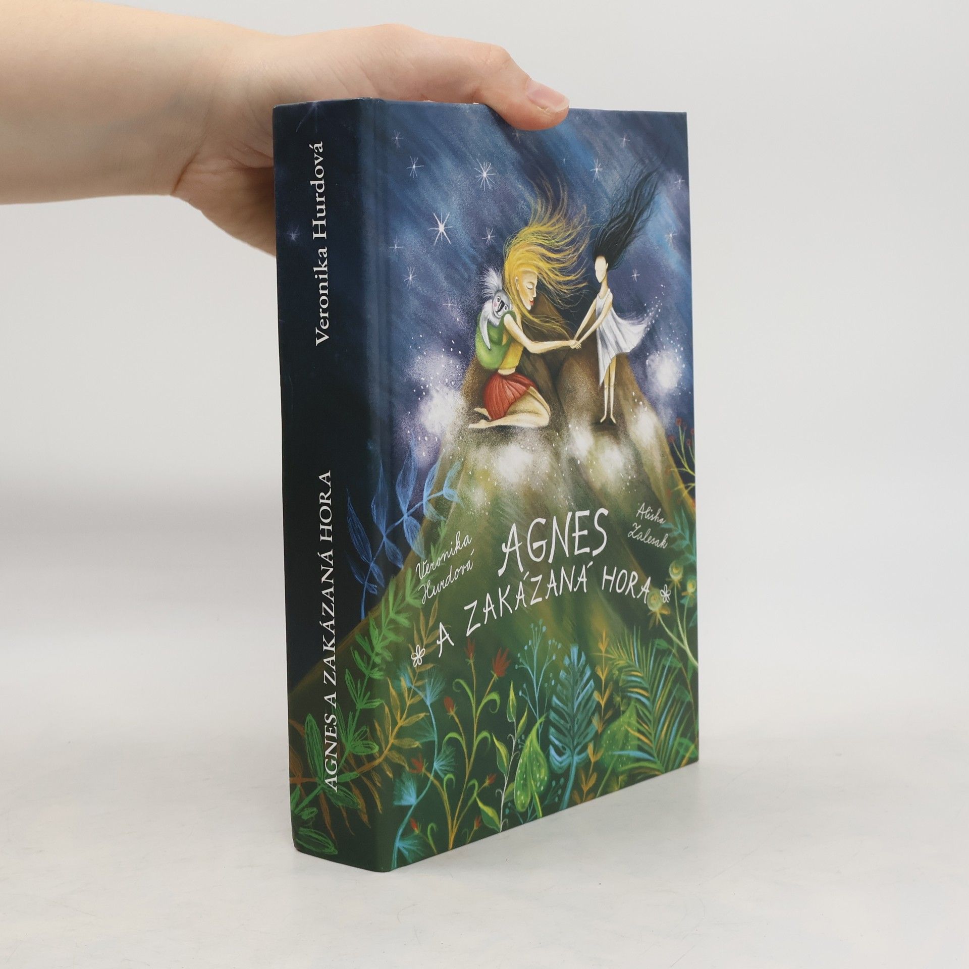 Veronika Hurdová Agnes a Zakázaná hora