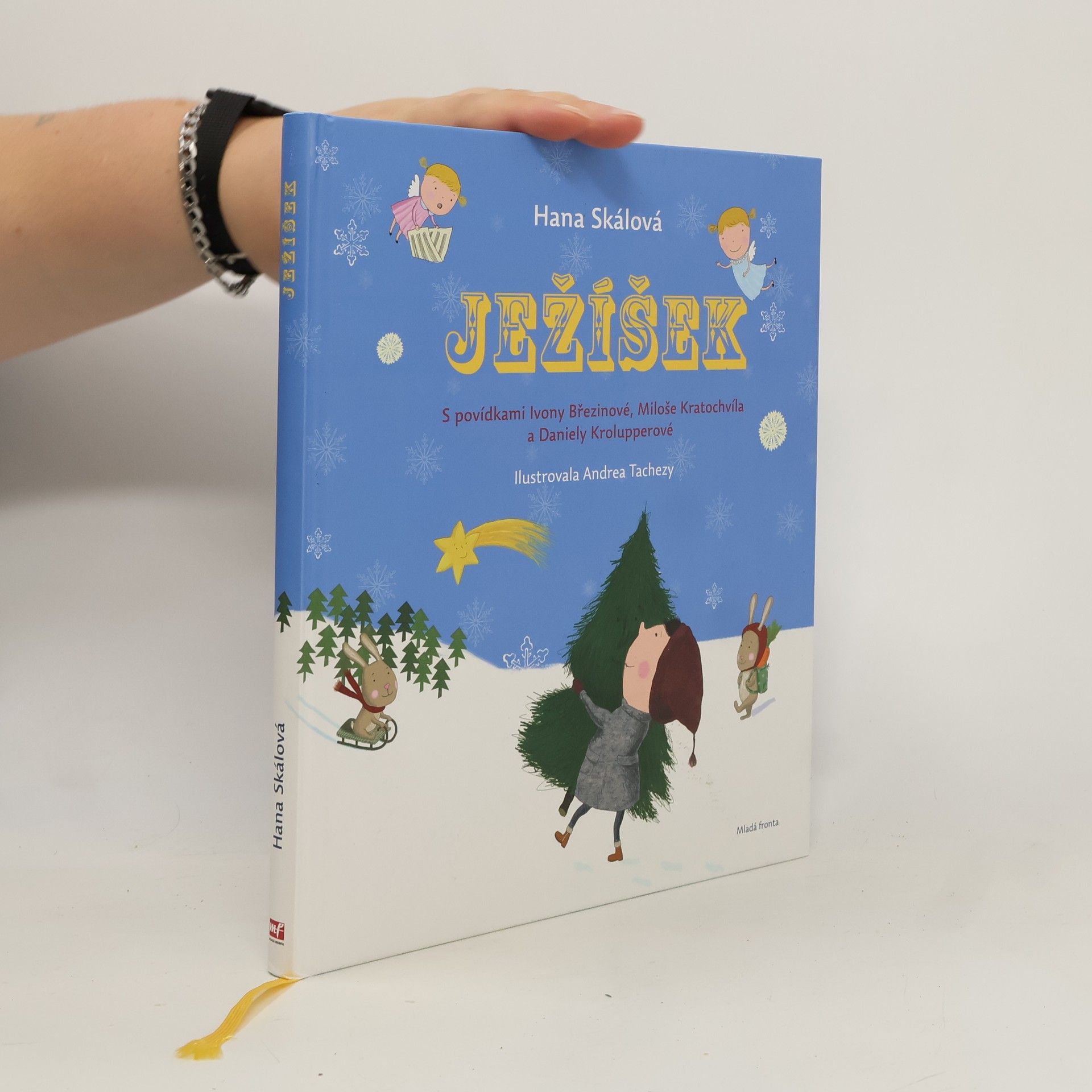 Hana Skalová Ježíšek