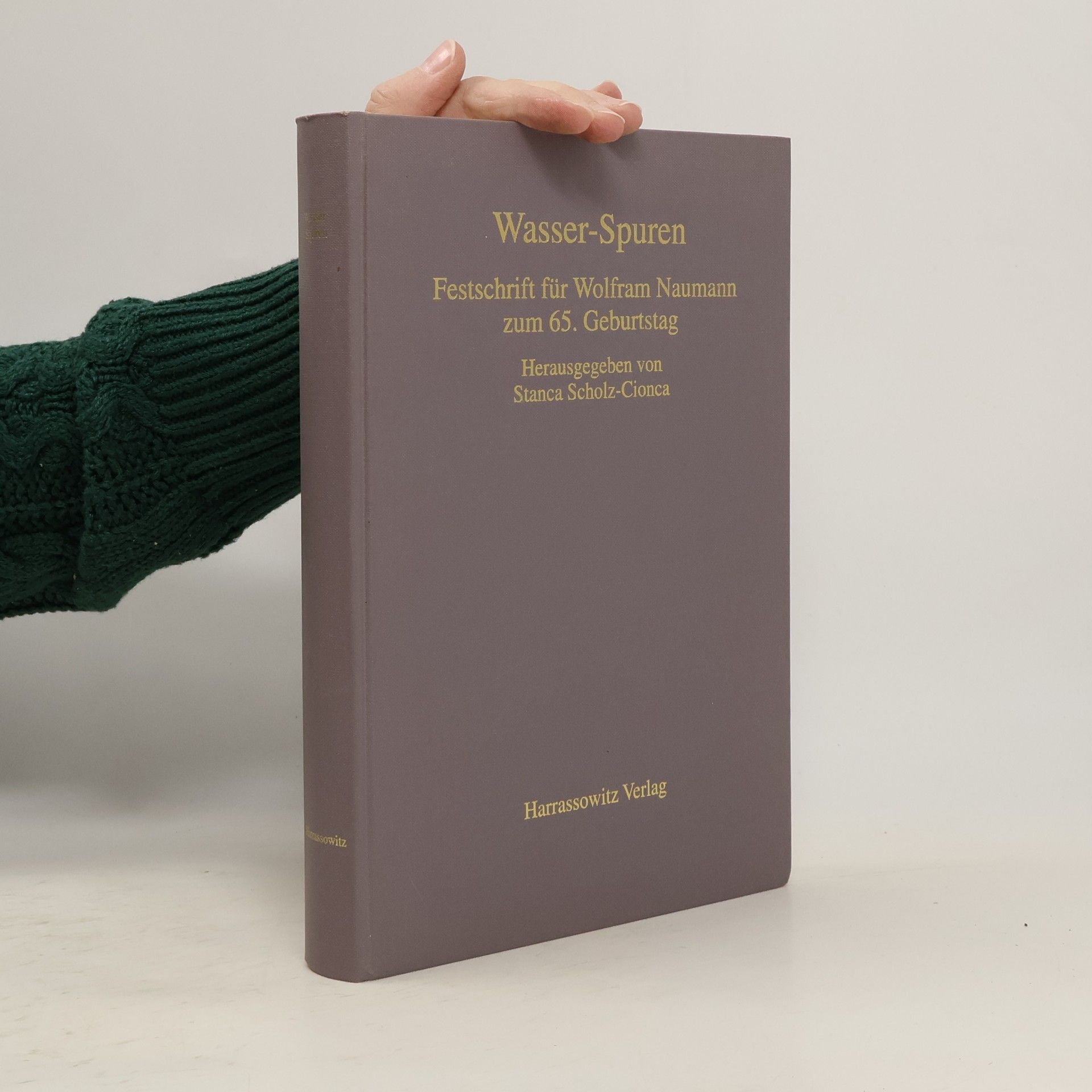 Stanca Scholz Cionca Wasser-Spuren