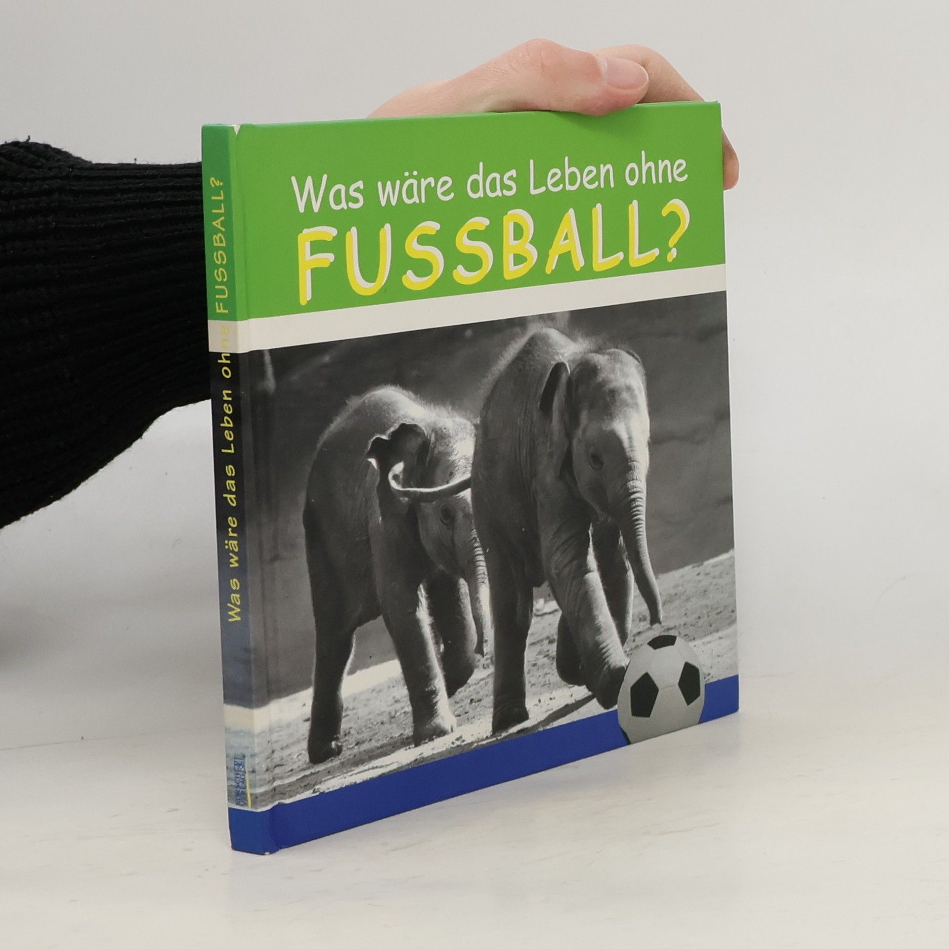 Christine Guggemos Was wäre das Leben ohne Fussball?