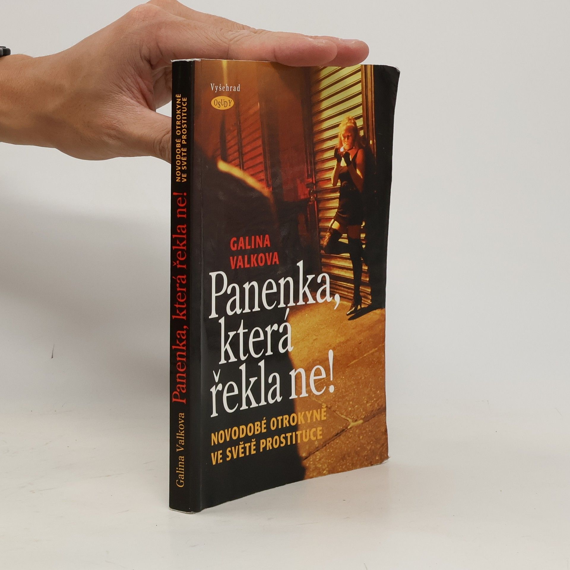 Panenka, která řekla ne! : Novodobé otrokyně ve světě prostituce