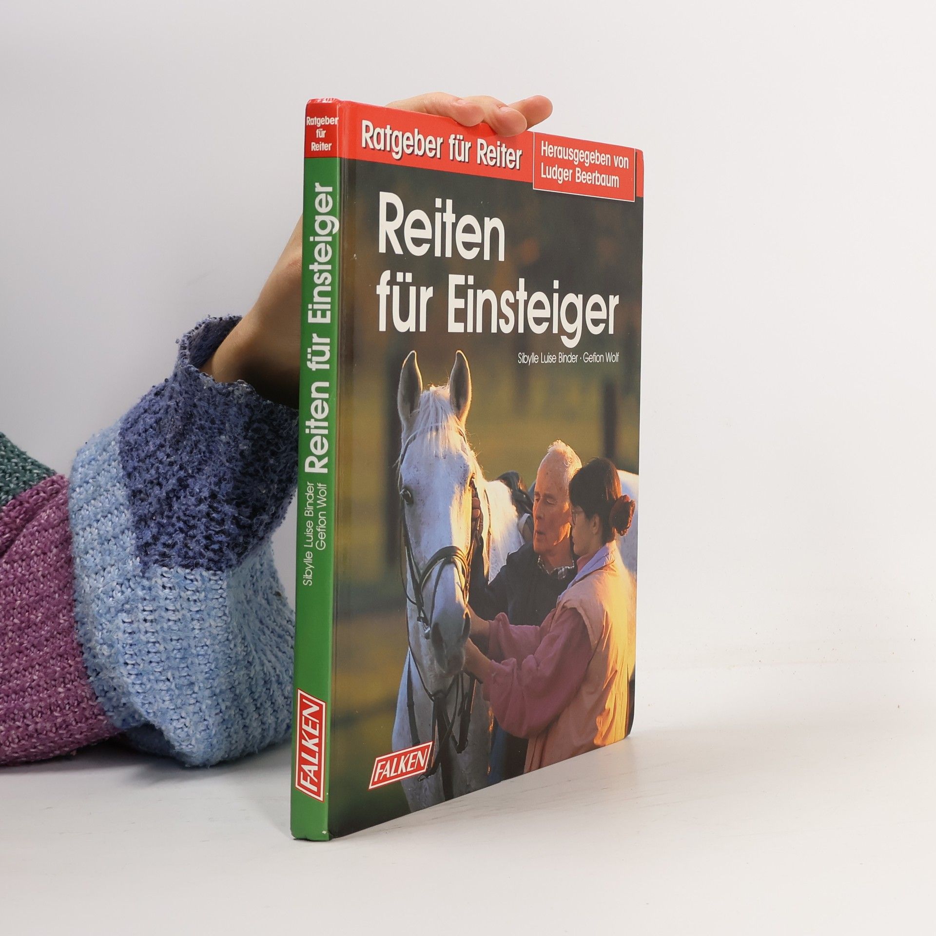 Reiten für Einsteiger