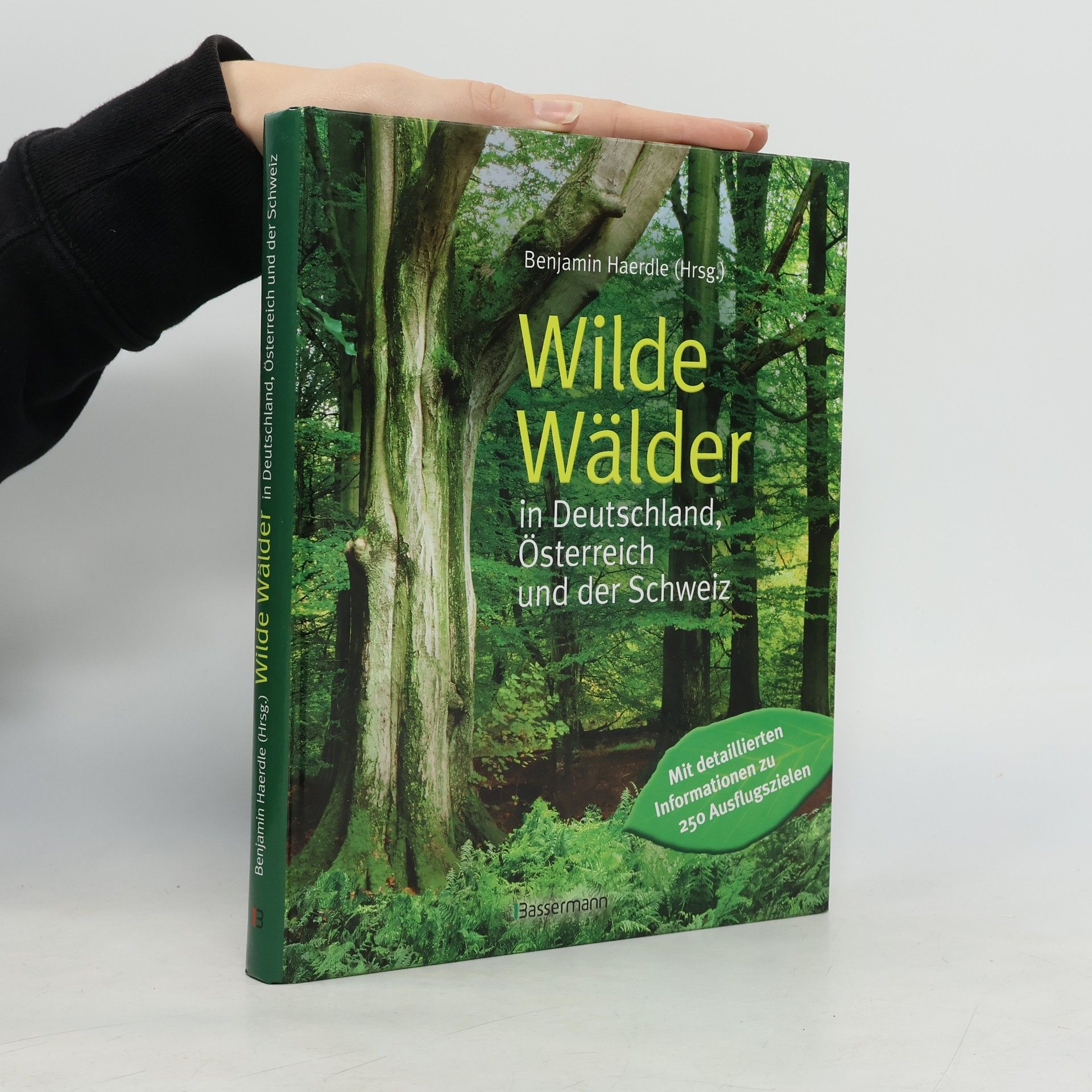 Benjamin Haerdle Wilde Wälder in Deutschland, Österreich und der Schweiz