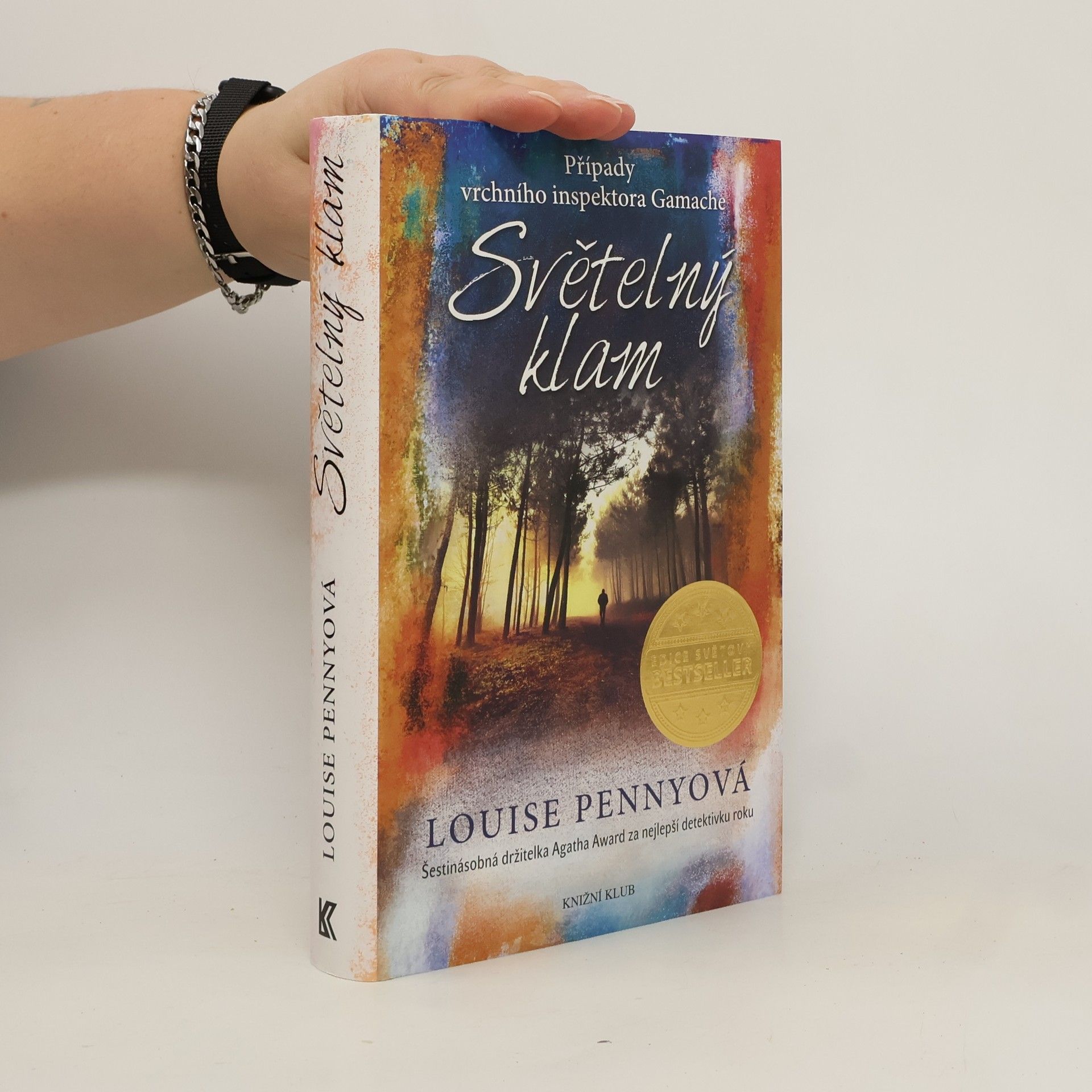 Louise Penny Světelný klam