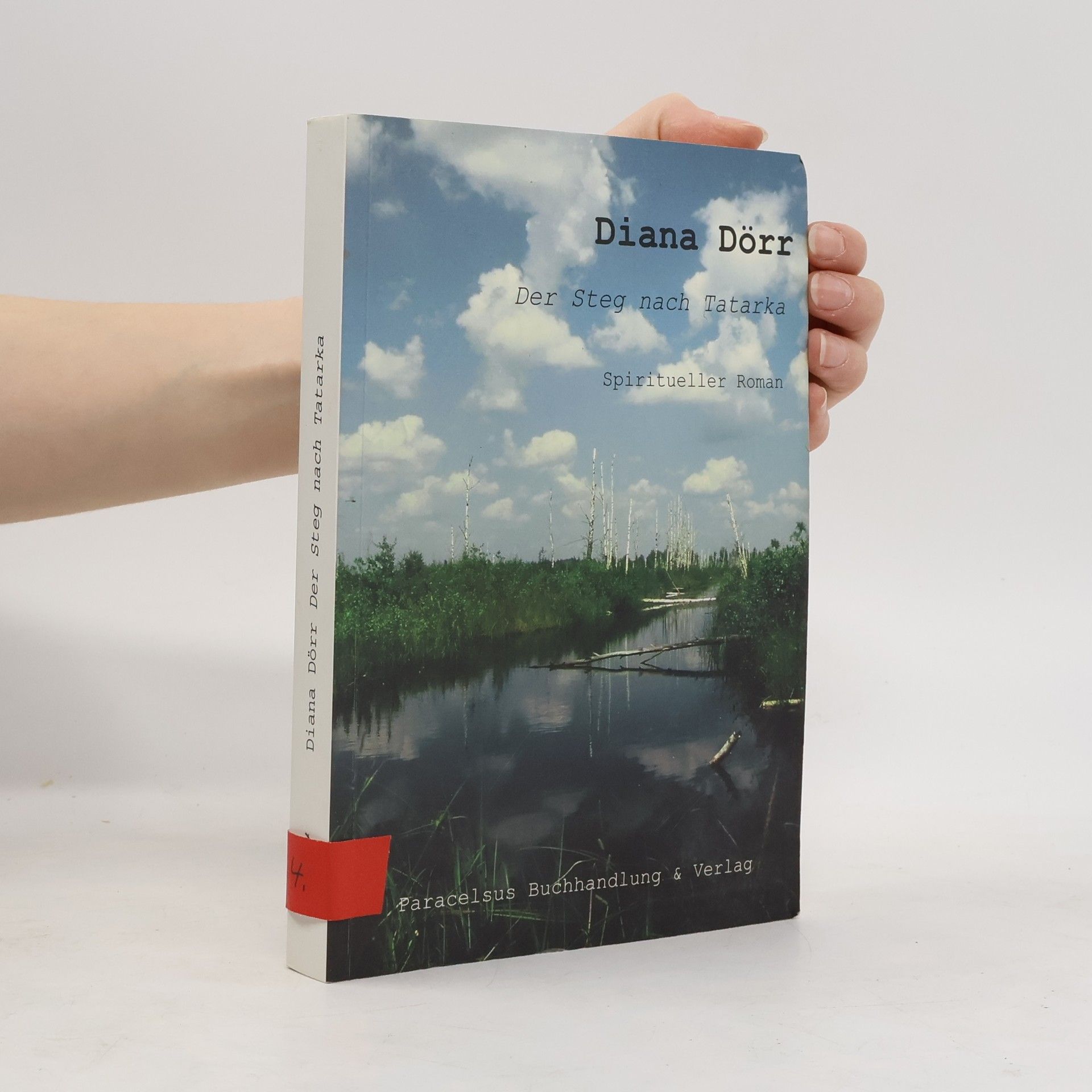 Diana Dörr Der Steg nach Tatarka