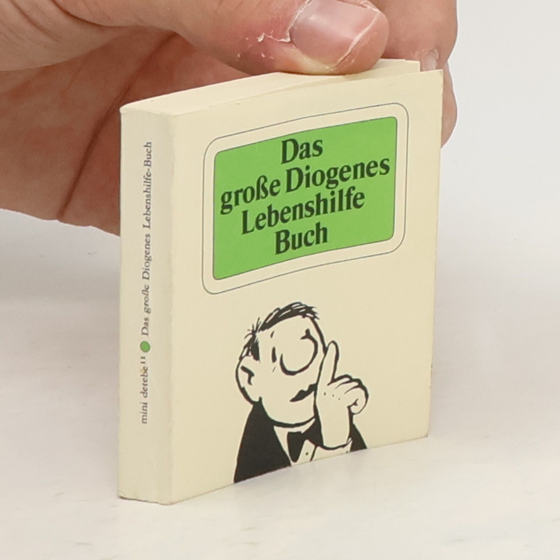 Christian Morgenstern Das grosse Diogenes-Lebenshilfe-Buch