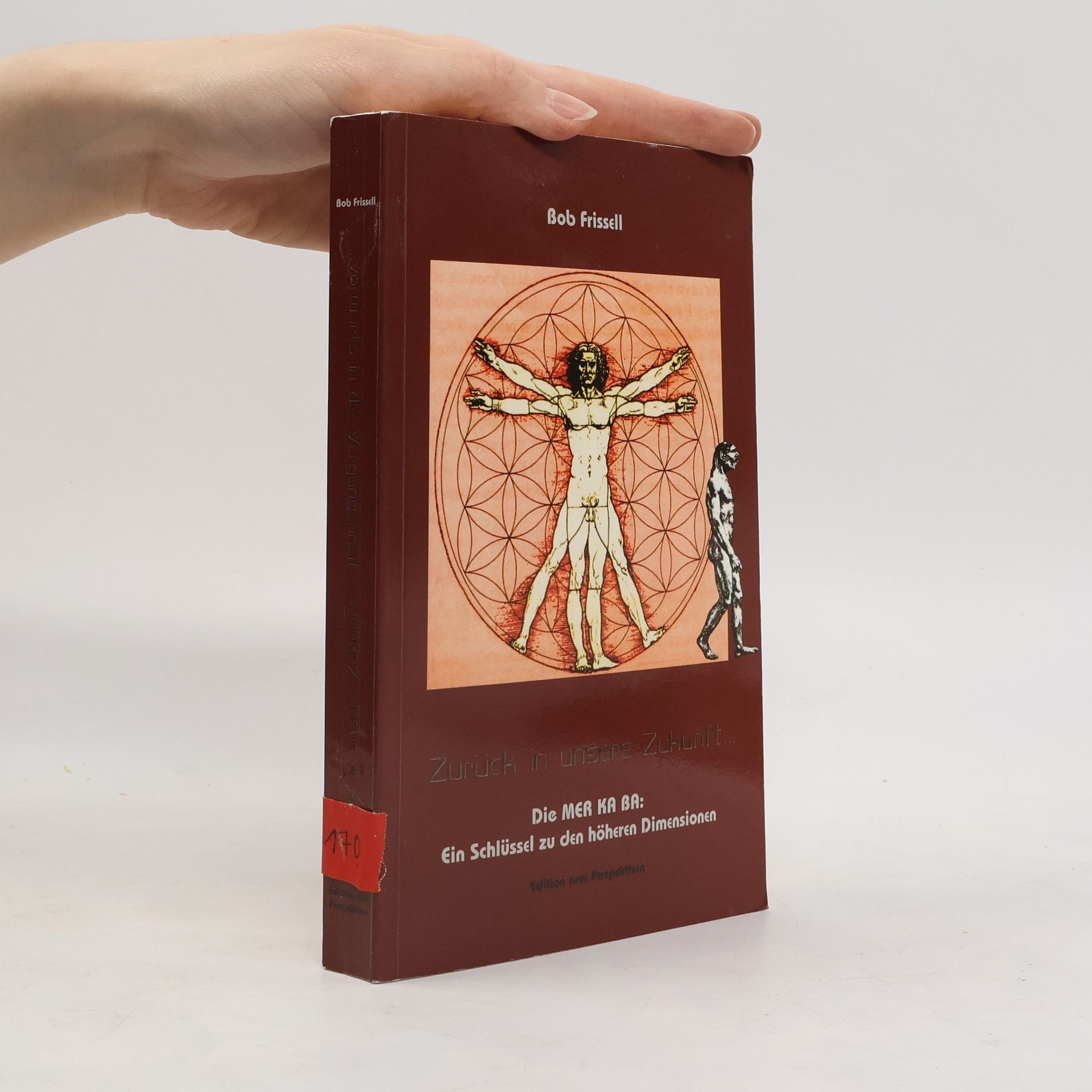 Bob Frissell Zurück in unsere Zukunft