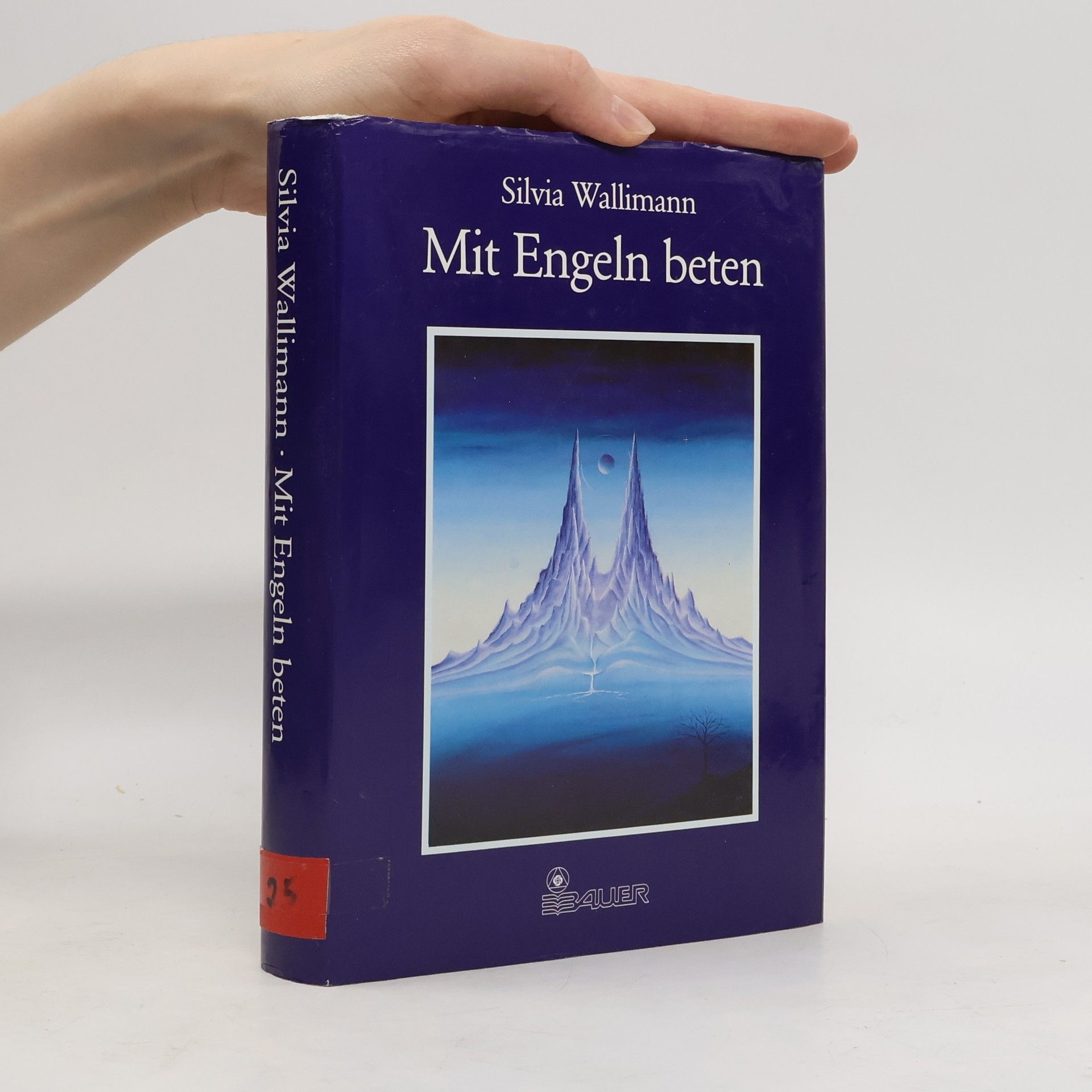 Silvia Wallimann Mit Engeln beten