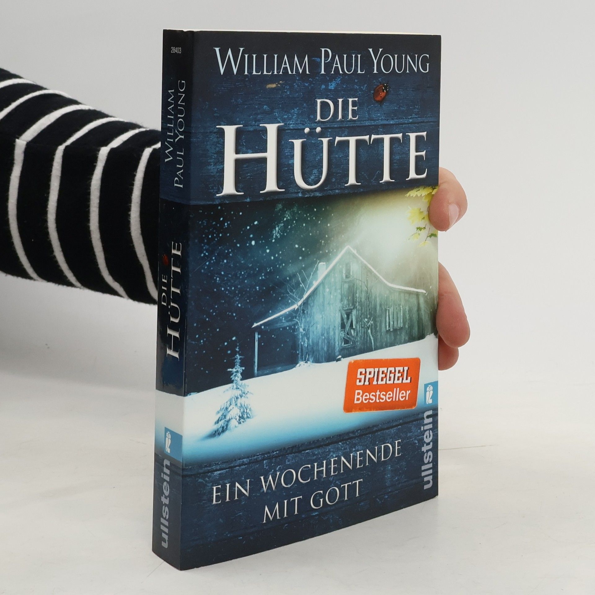 William P. Young Die Hütte