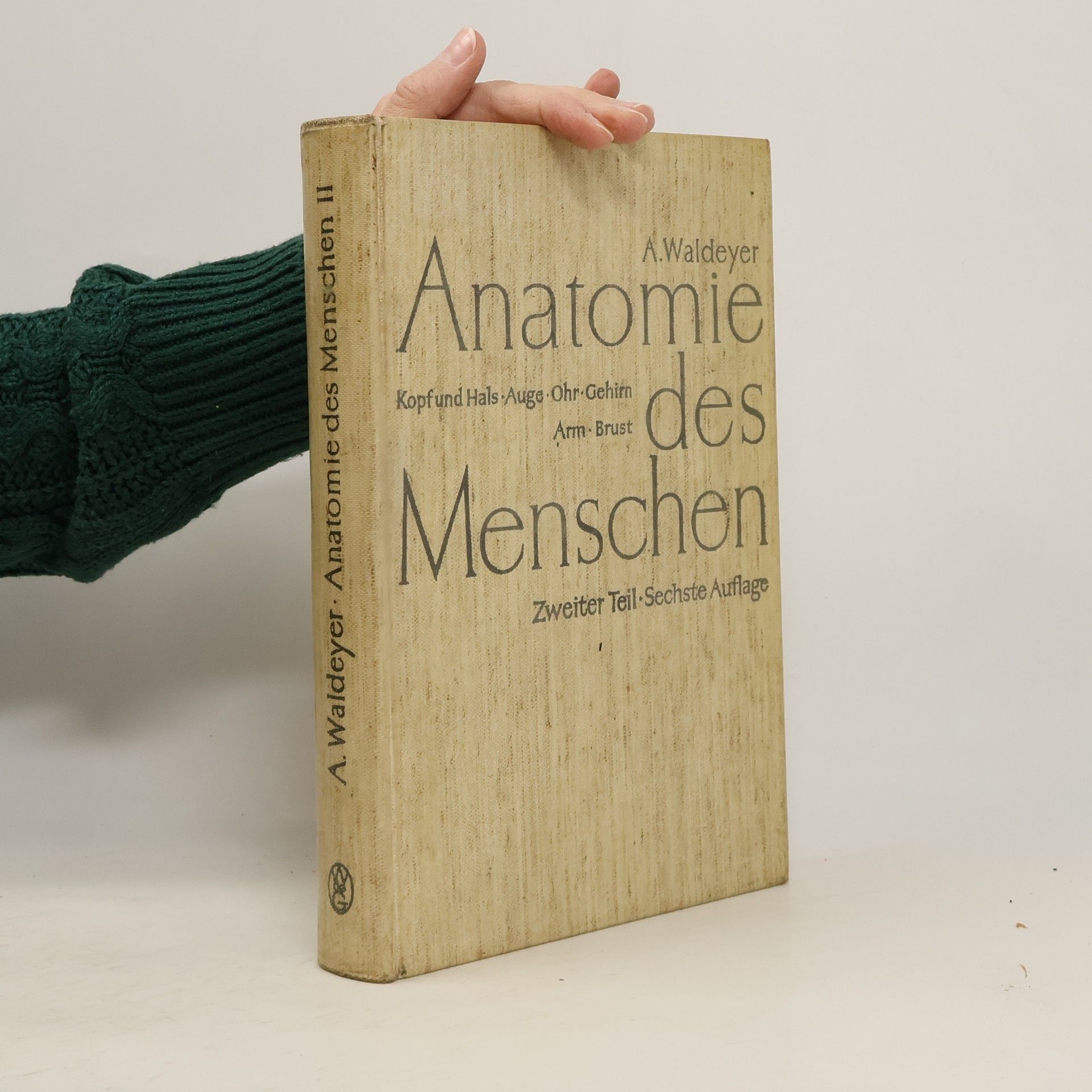 Autorenkollektiv Anatomie des Menschen II