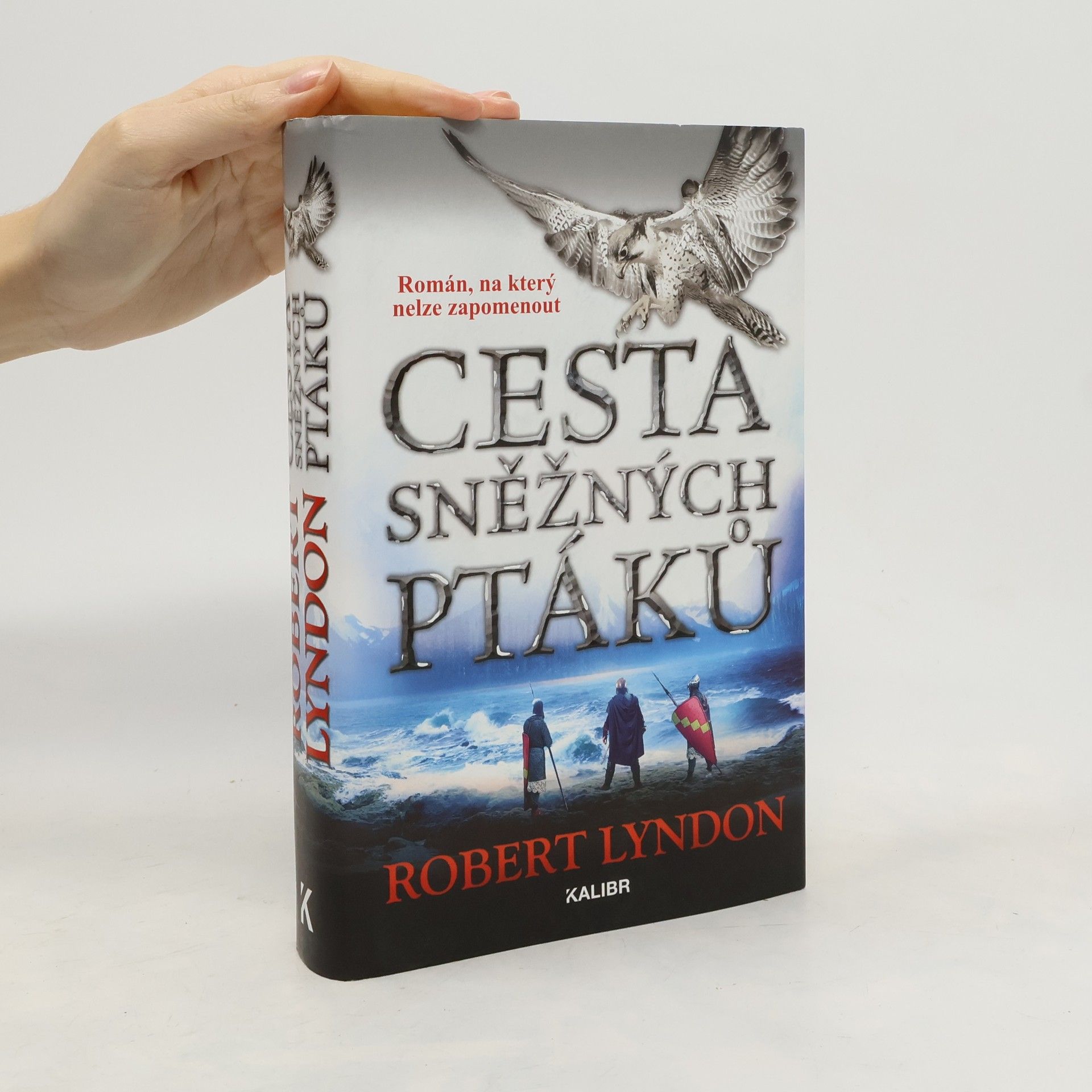 Robert Lyndon Cesta sněžných ptáků