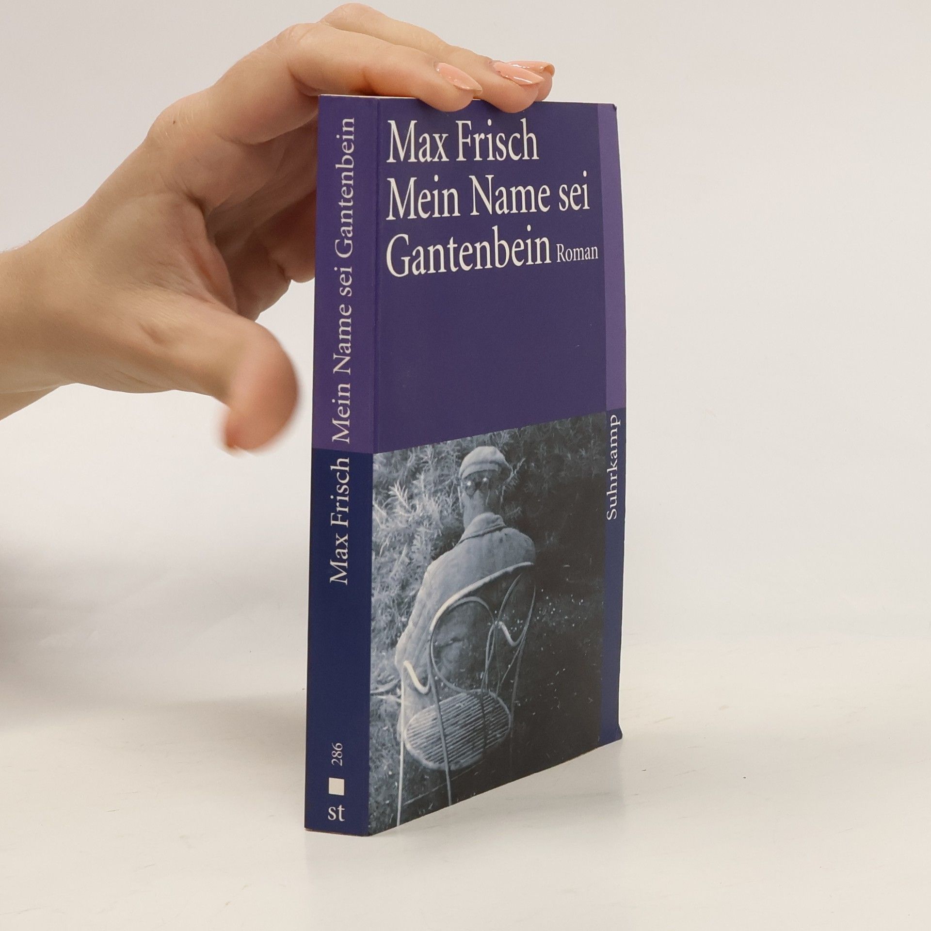 Max Frisch Mein Name sei Gantenbein