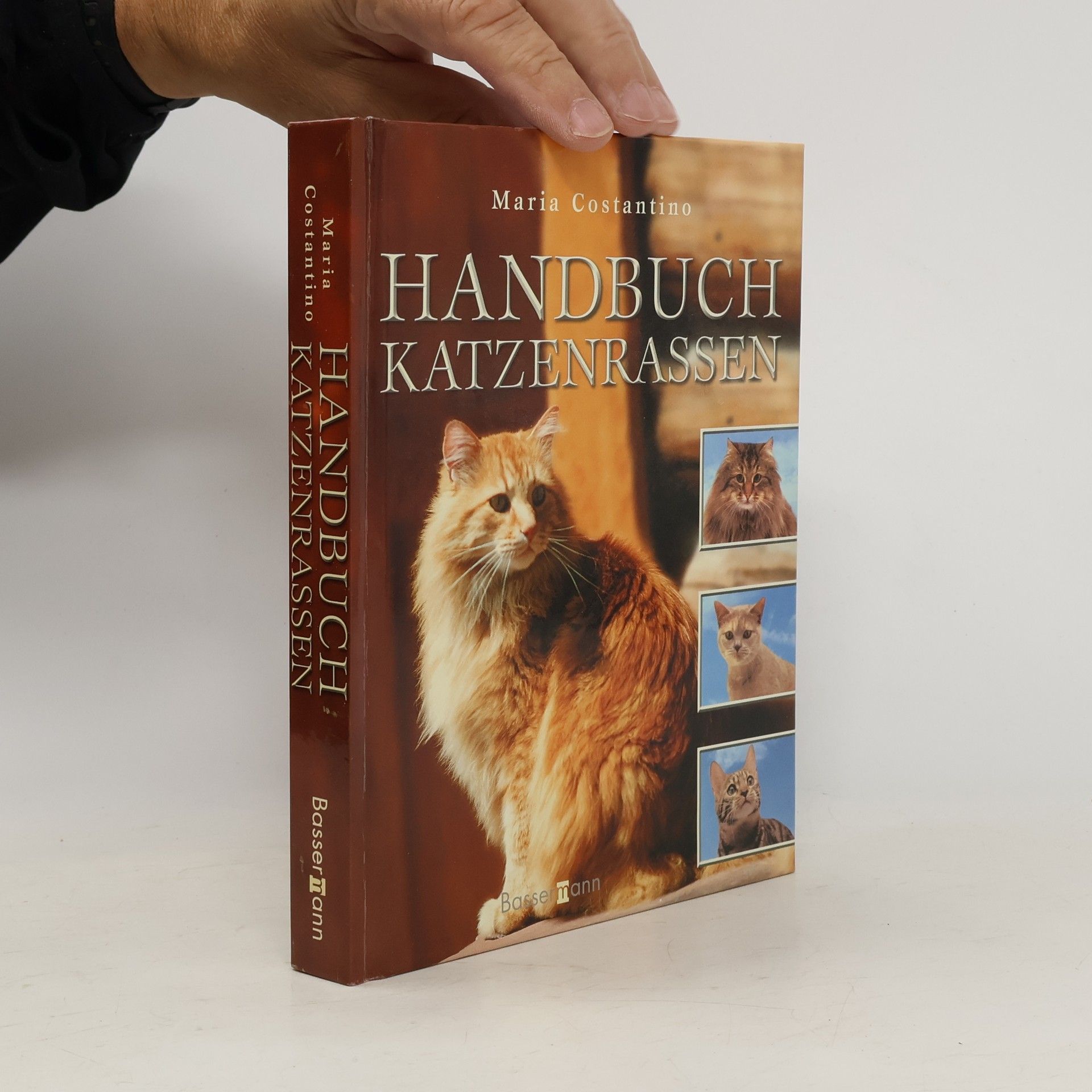 Maria Constantino Handbuch Katzenrassen