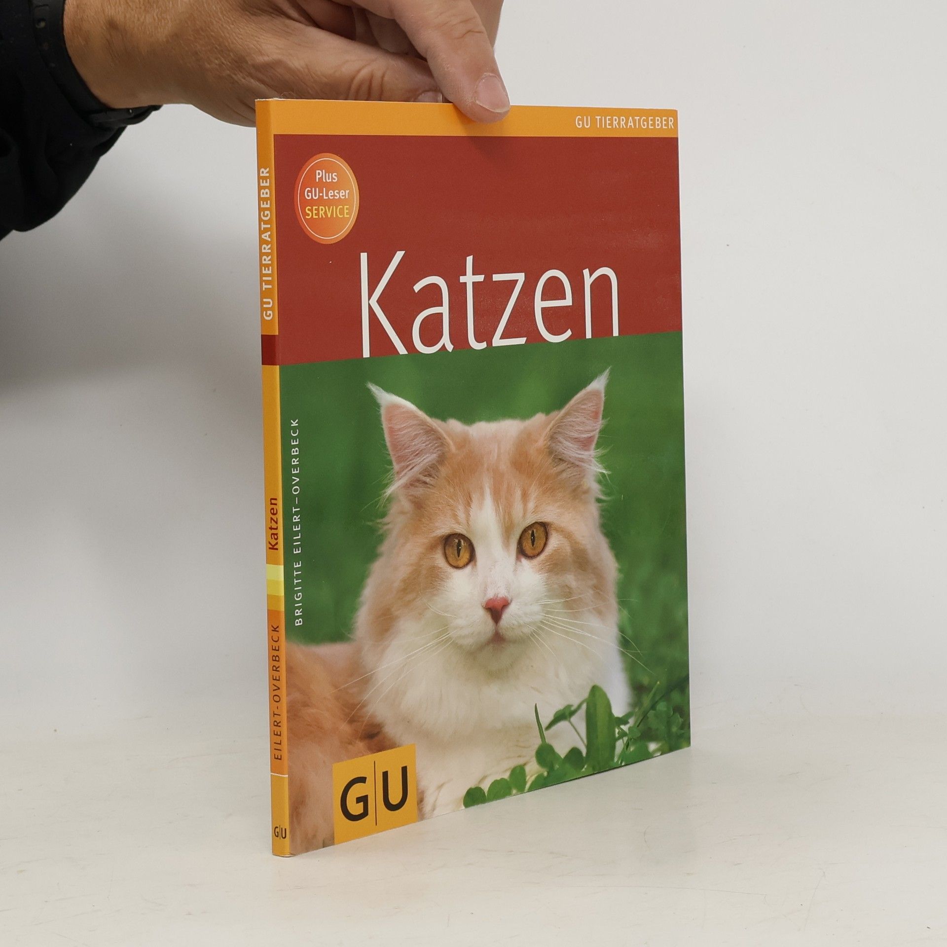 Katzen