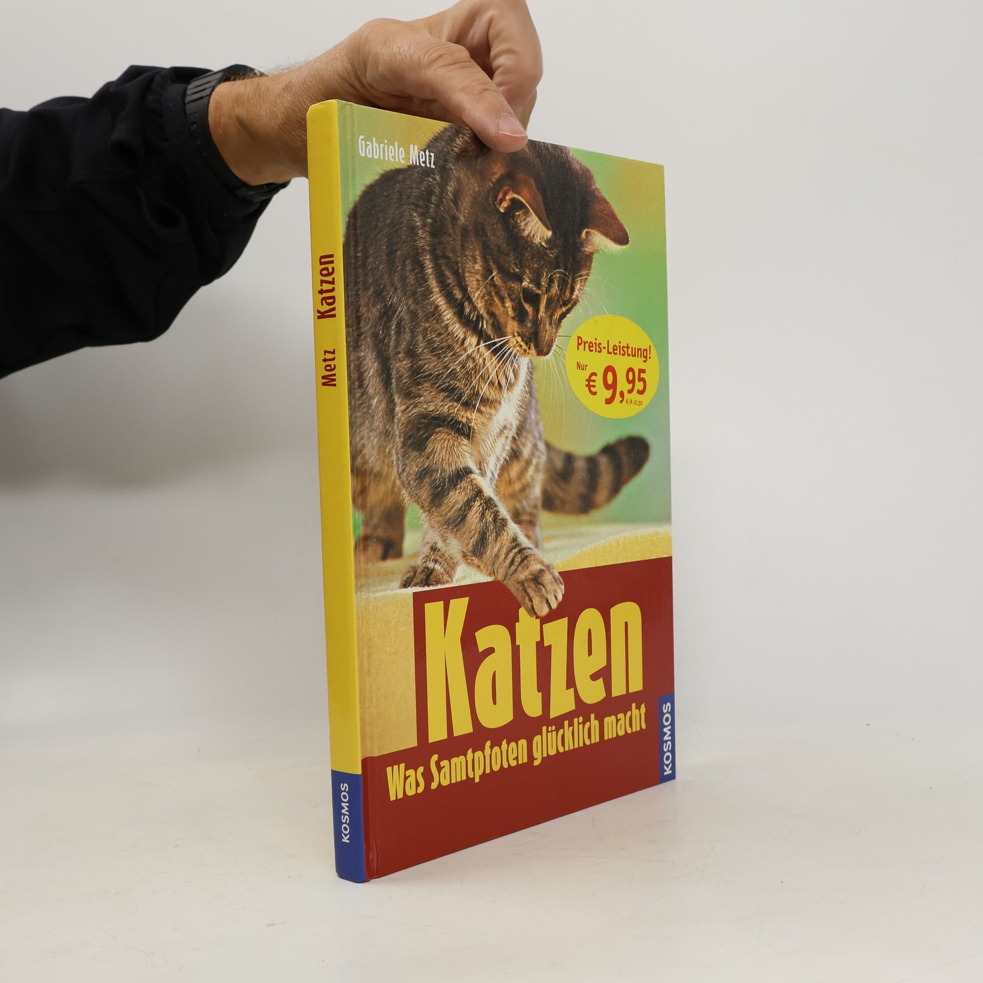 Gabriele Metz Katzen