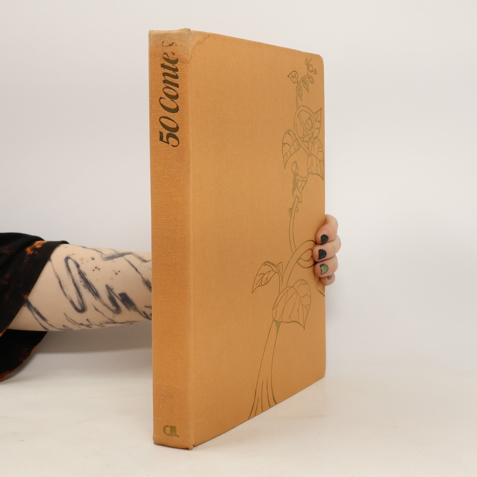 Collectif d'auteurs 50 contes et histoires enchantées