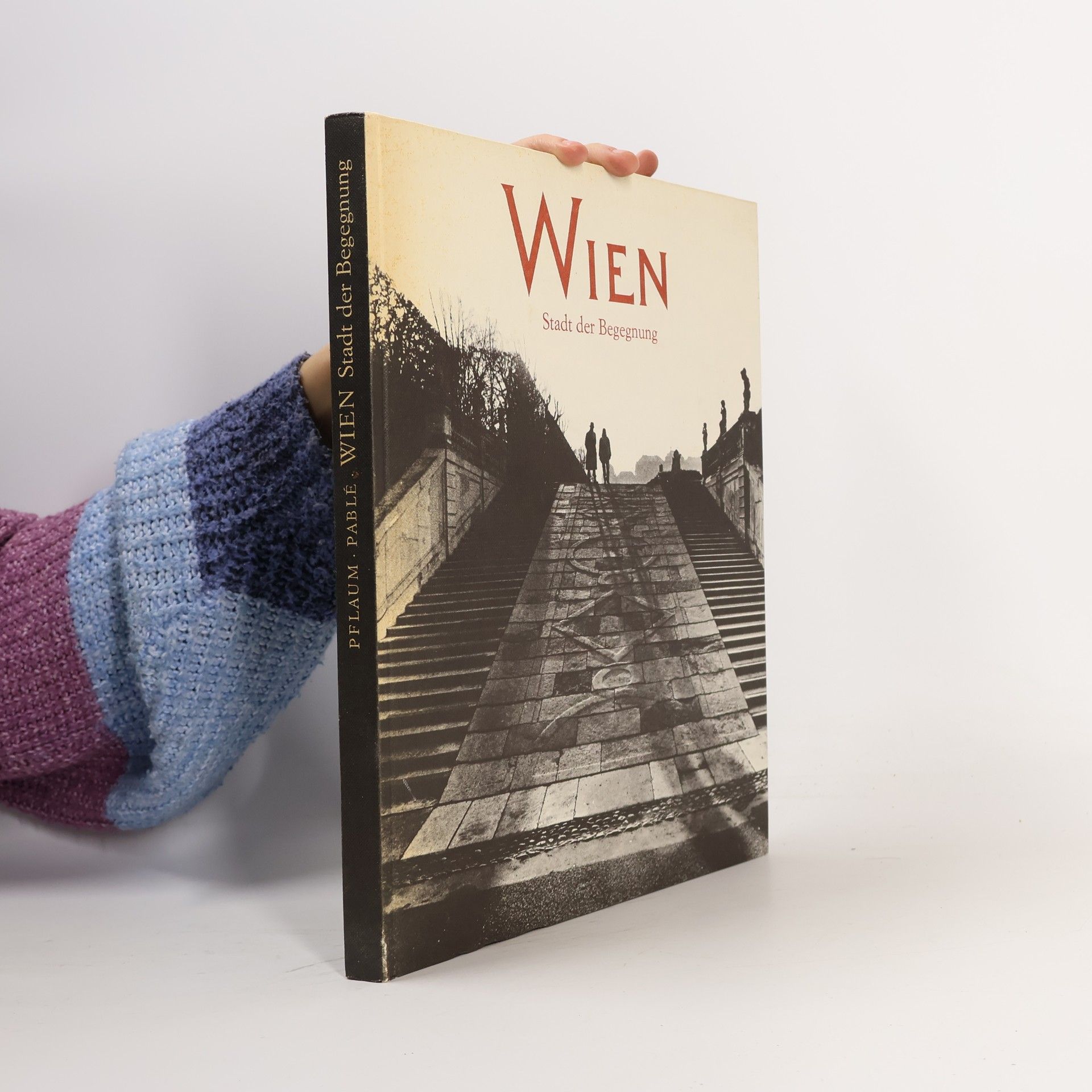 Wien : Stadt der Begegnung