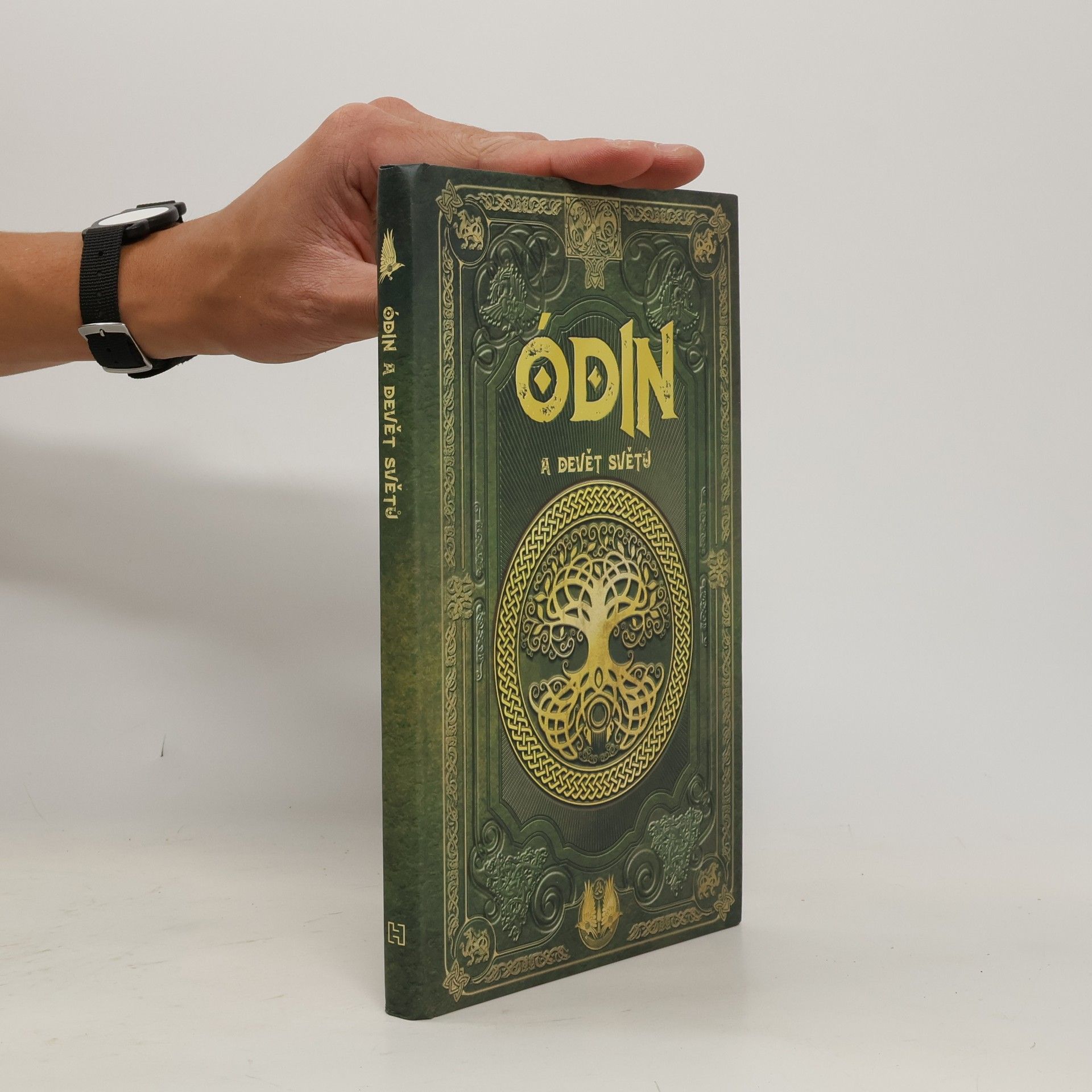 Olga Macíková Ódin a devět světů