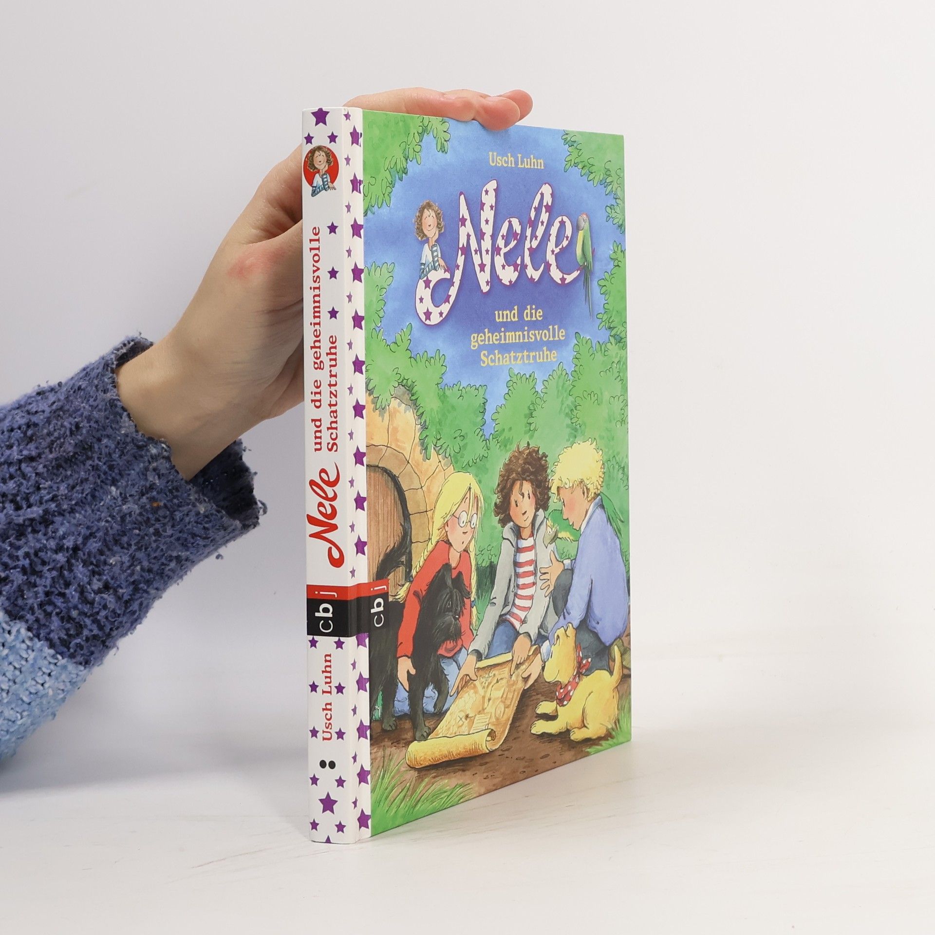 Usch Luhn Nele und die geheimnisvolle Schatztruhe