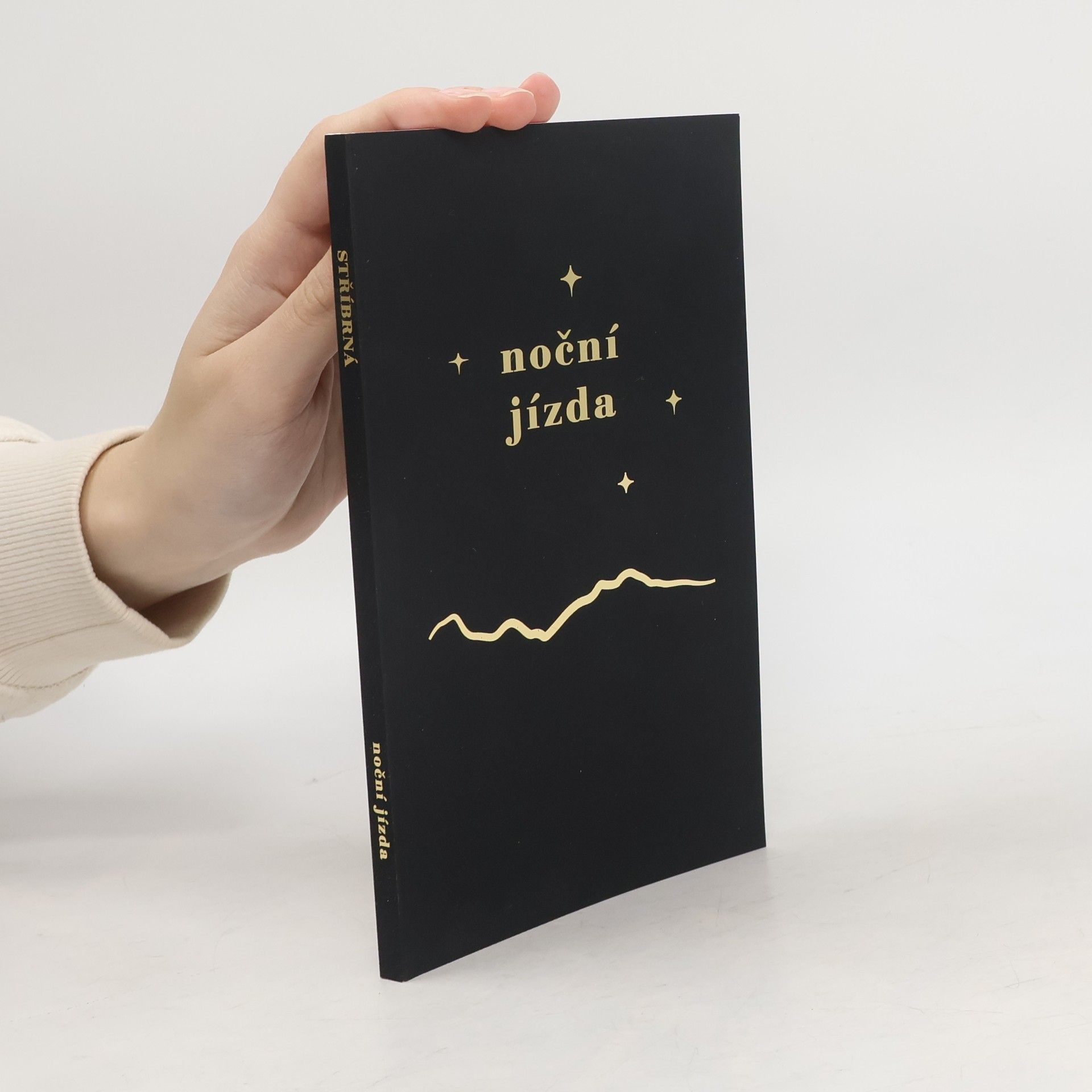 Kateřina Stříbrná Noční jízda