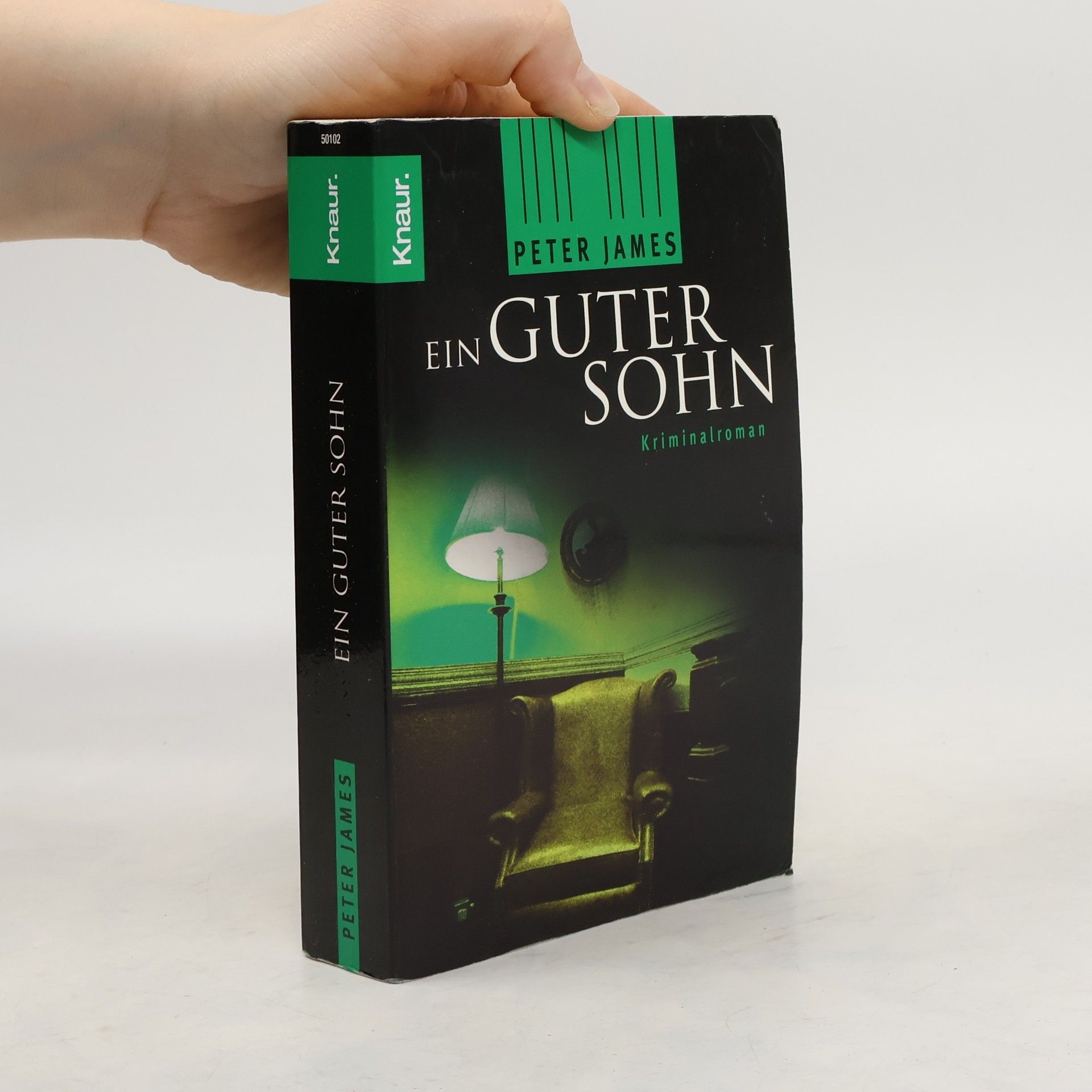 Peter James Ein guter Sohn. Thriller