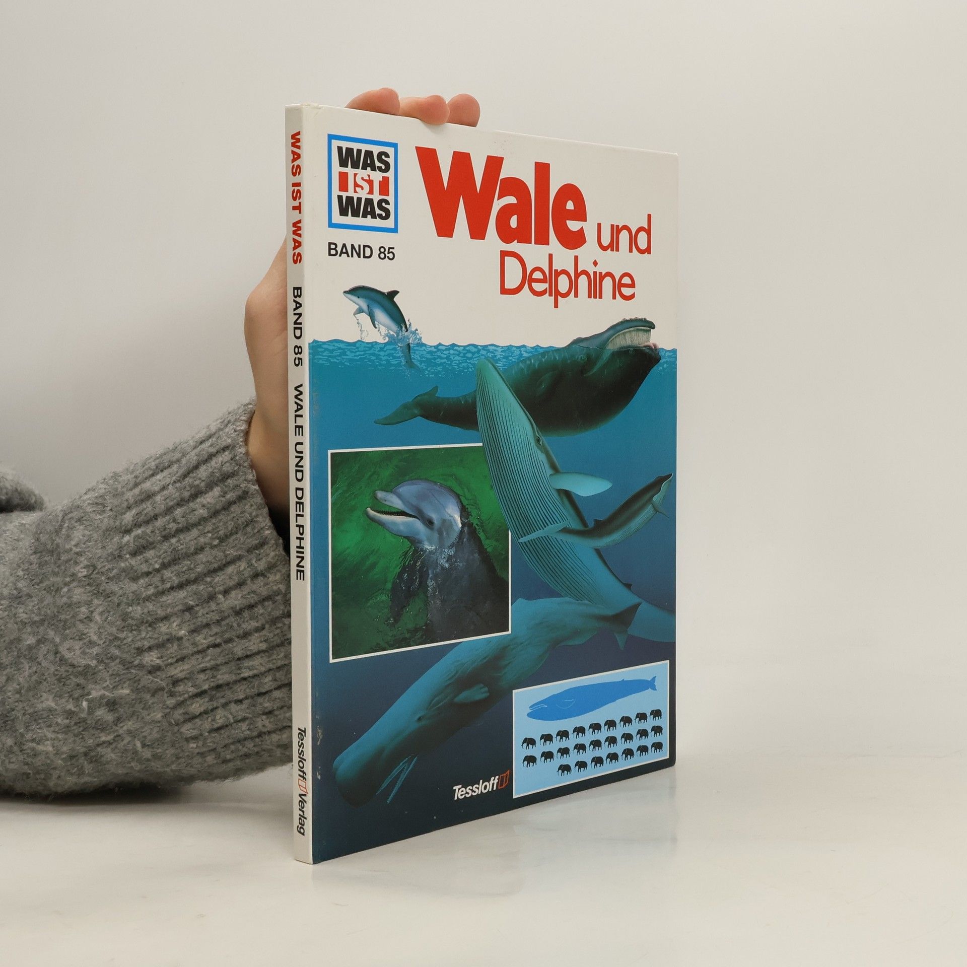 Petra Deimer-Schütte Was ist Was 85. Wale und Delphine