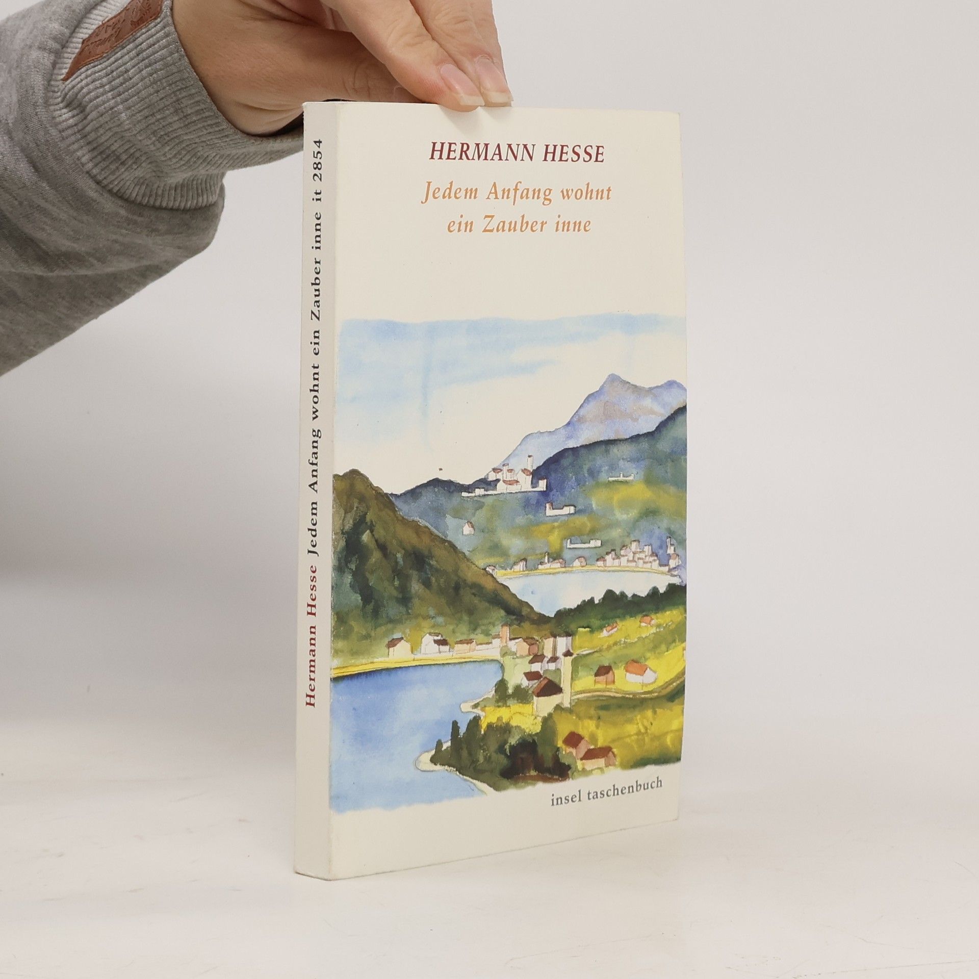 Hermann Hesse Jedem Anfang wohnt ein Zauber inne