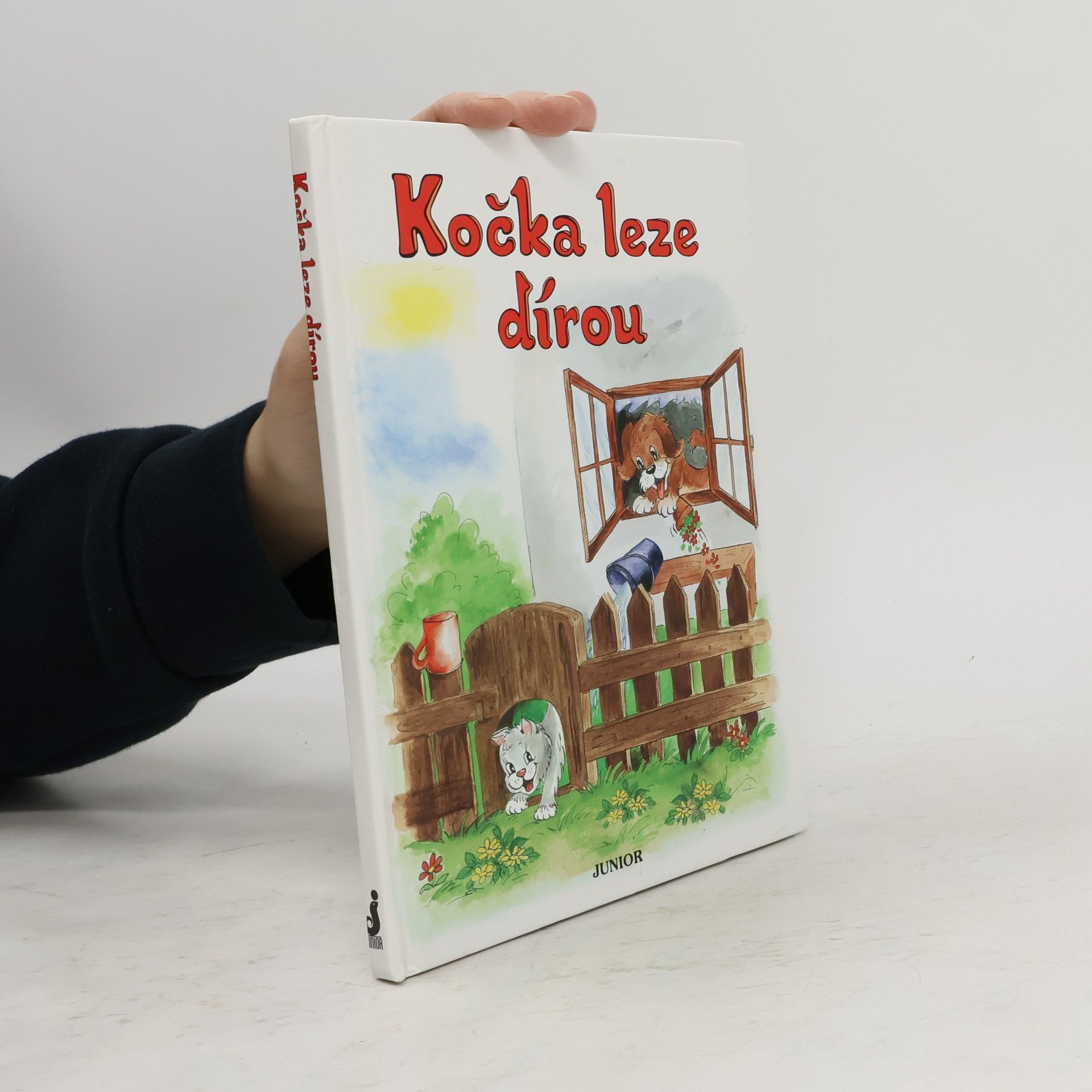 Vladimíra Vopičková Kočka leze dírou