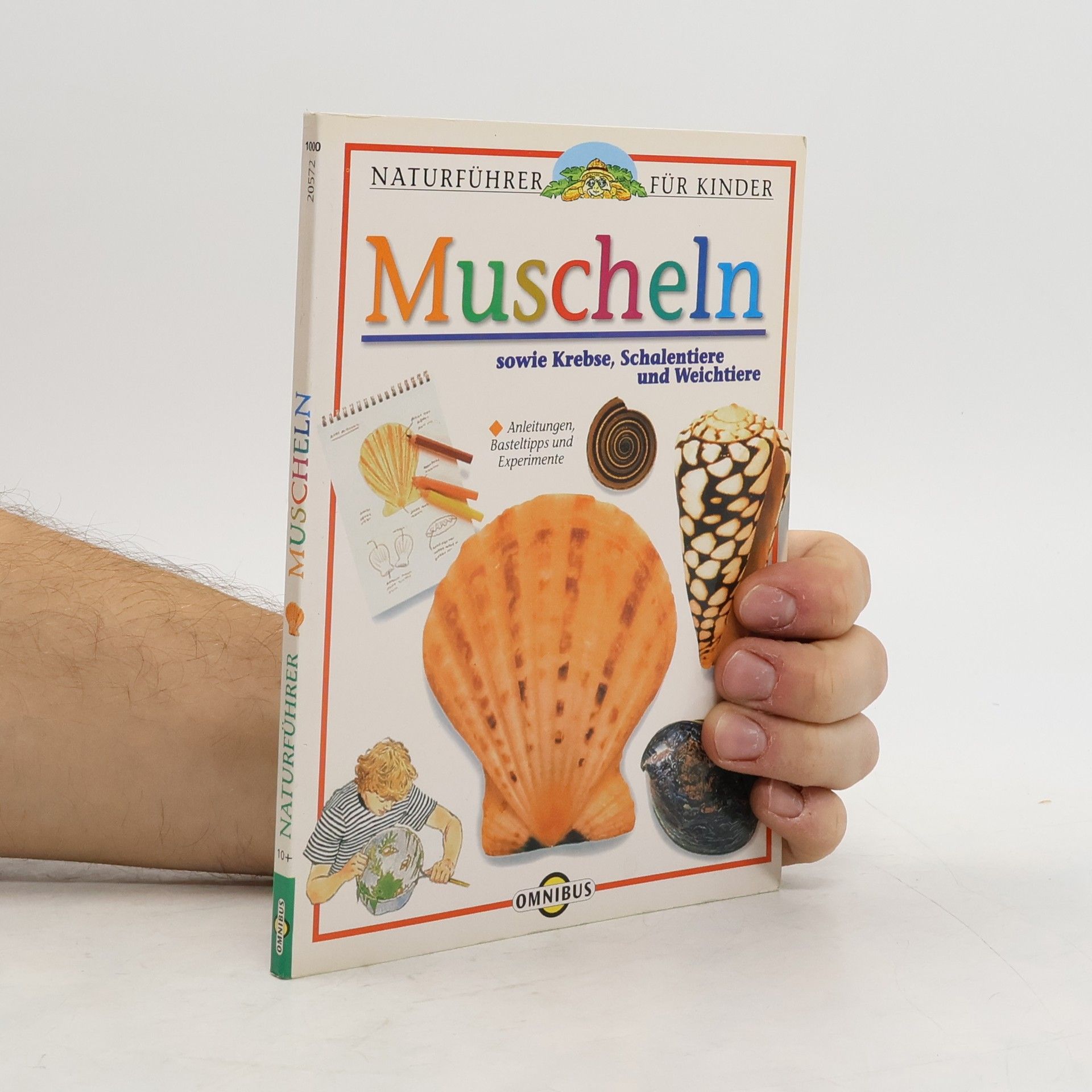 Auteurscollectief Muscheln sowie Krebse, Schalentiere und Weichtiere