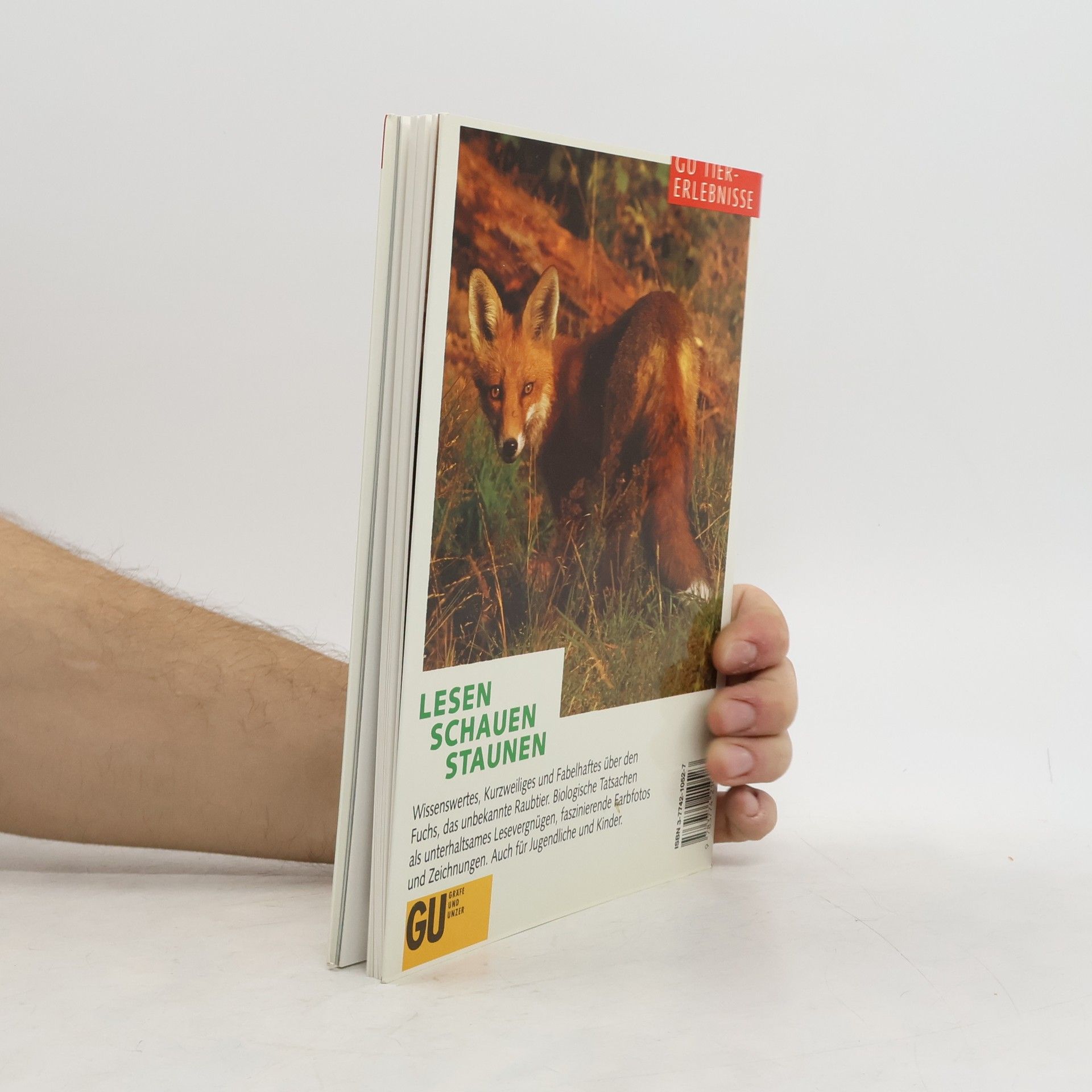 Felix Labhardt Der Fuchs