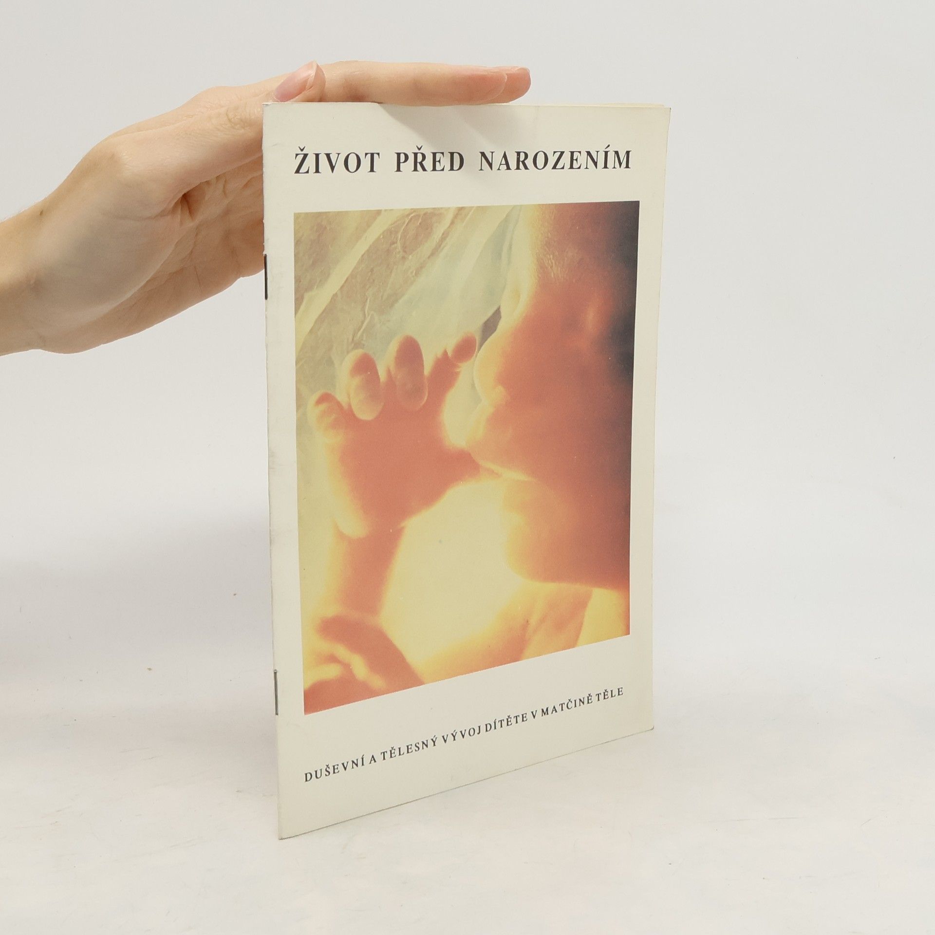 Kolektiv autorů Život před narozením