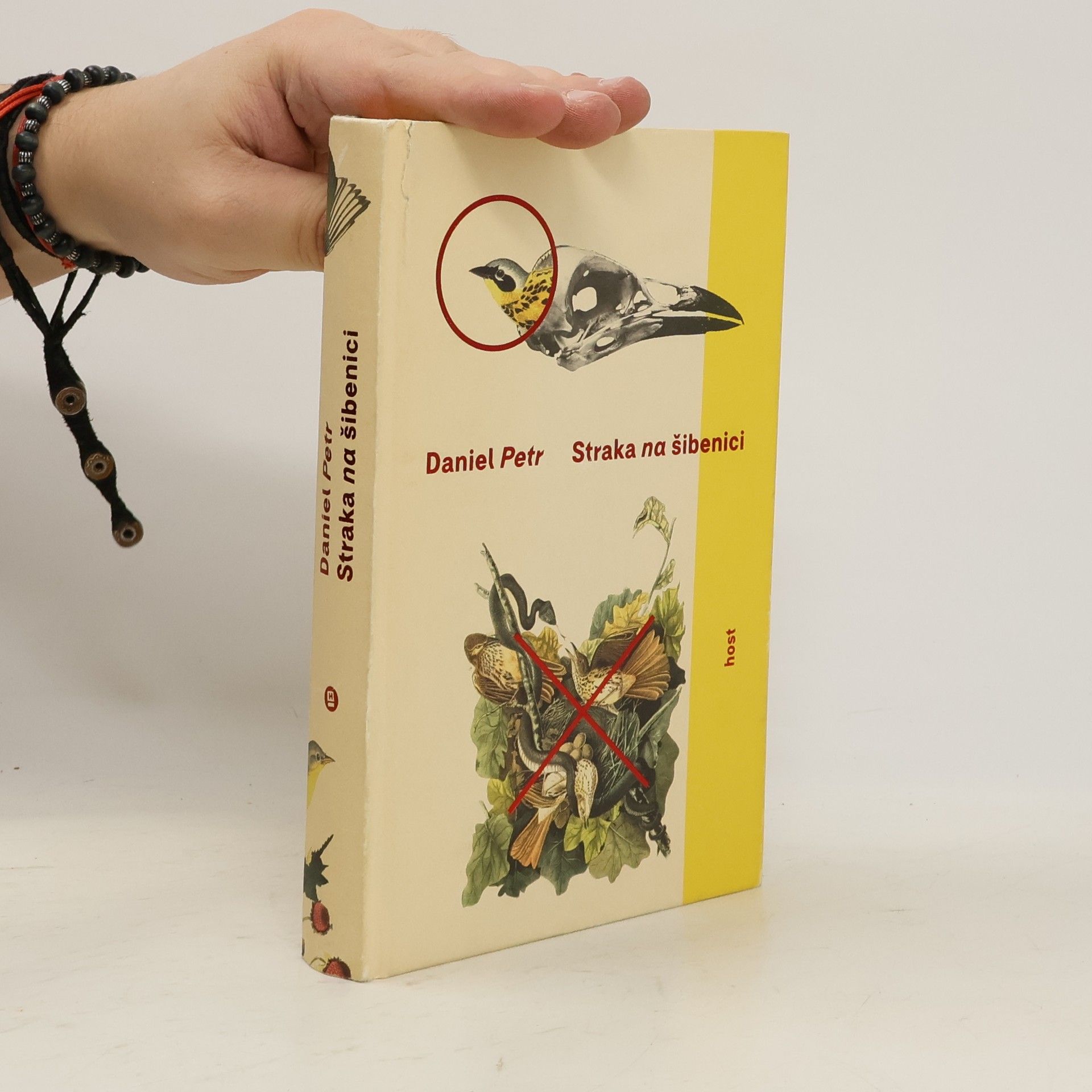 Daniel Petr Straka na šibenici