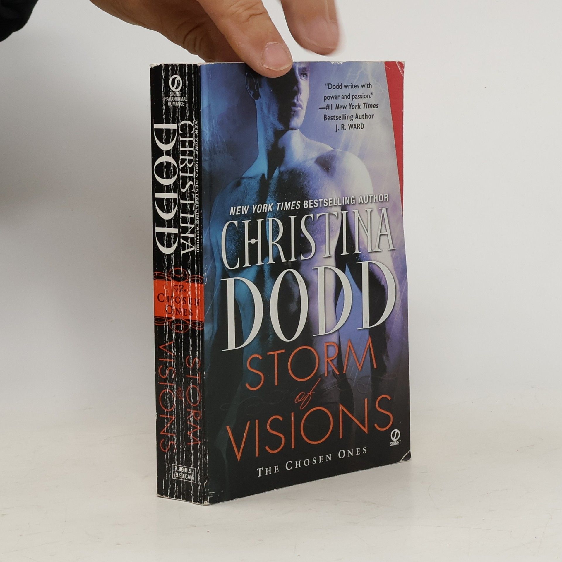 Christina Dodd Storm of Visions