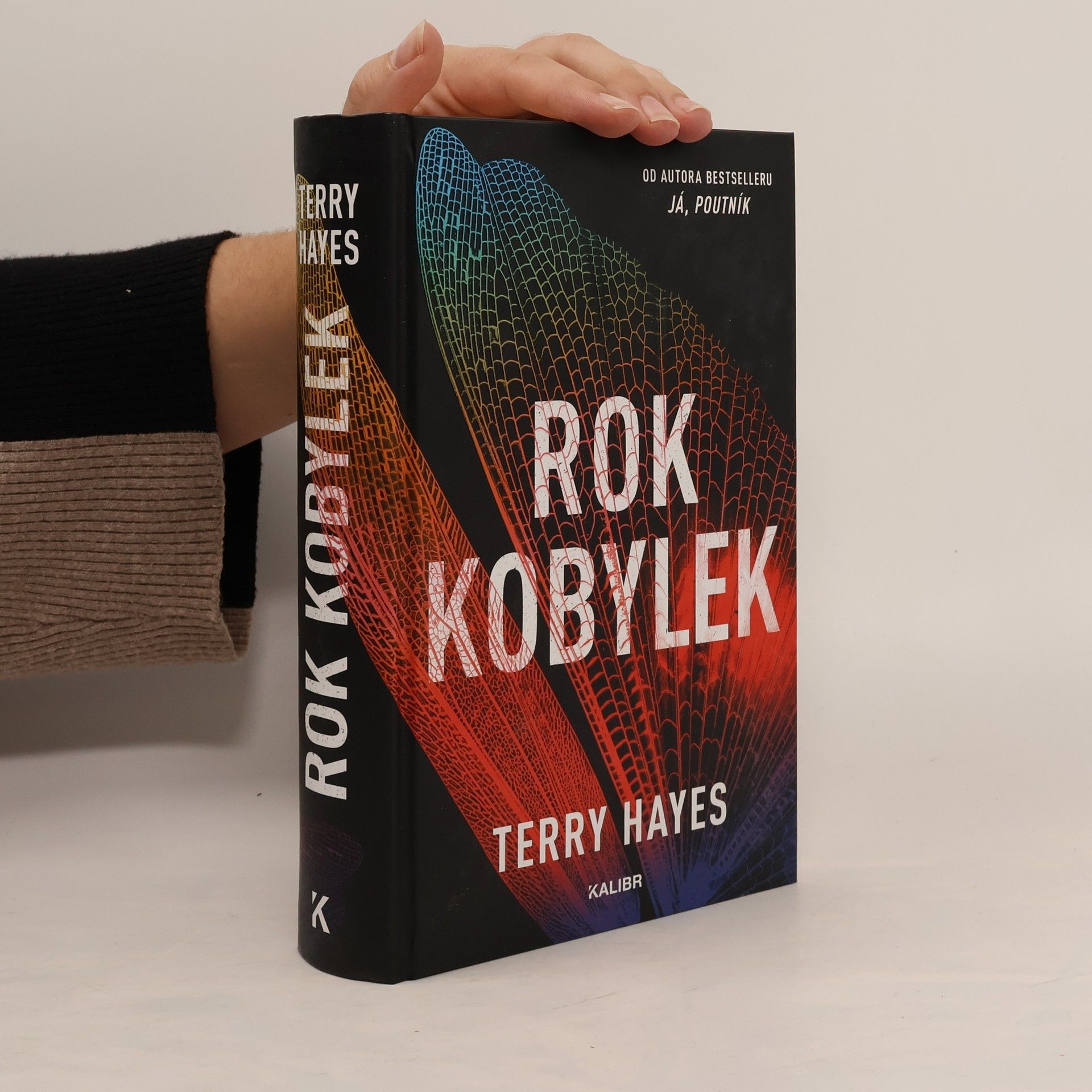 Terry Hayes Rok kobylek
