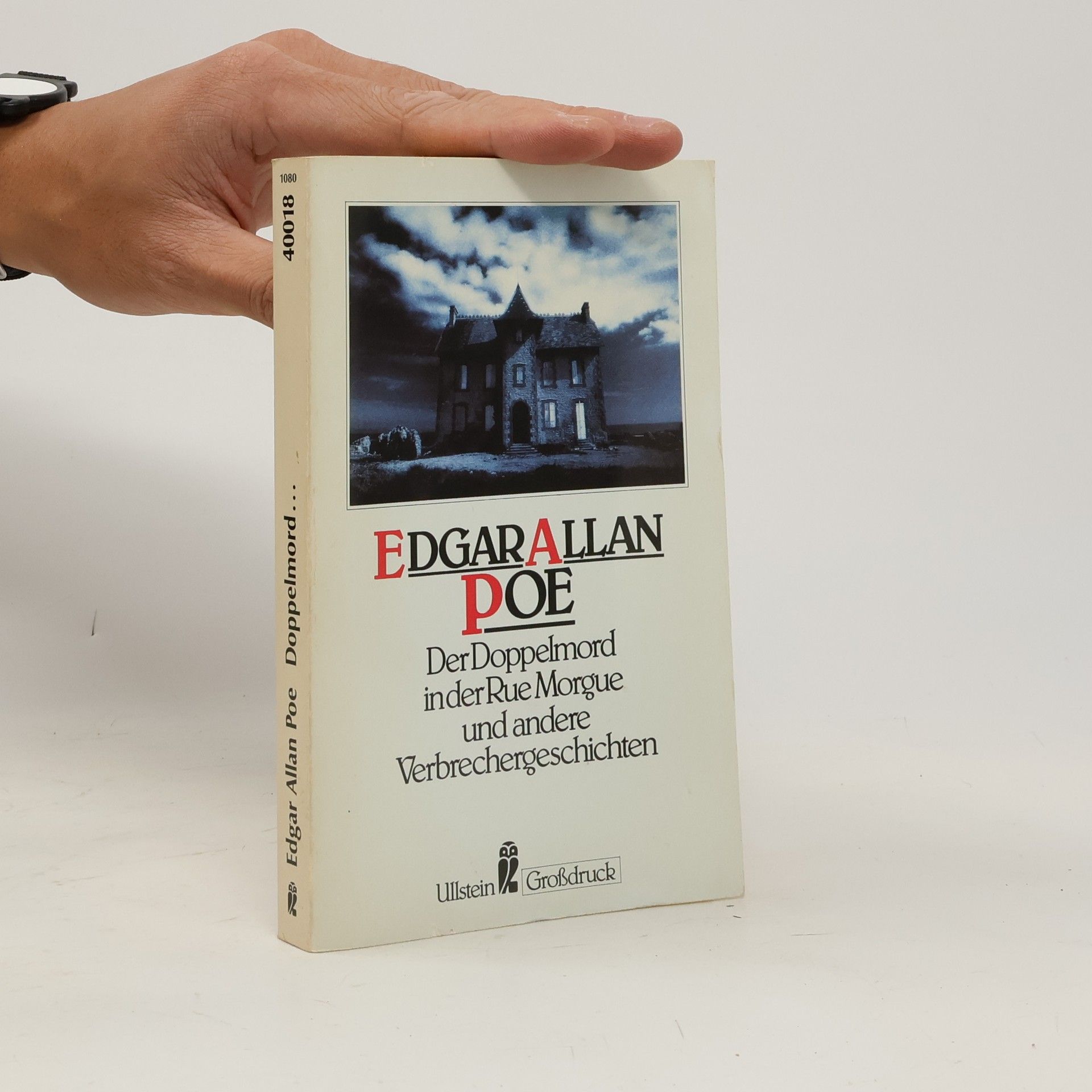 Edgar Allan Poe Der Doppelmord in der Rue Morgue und andere Verbrechergeschichten - Großdruck