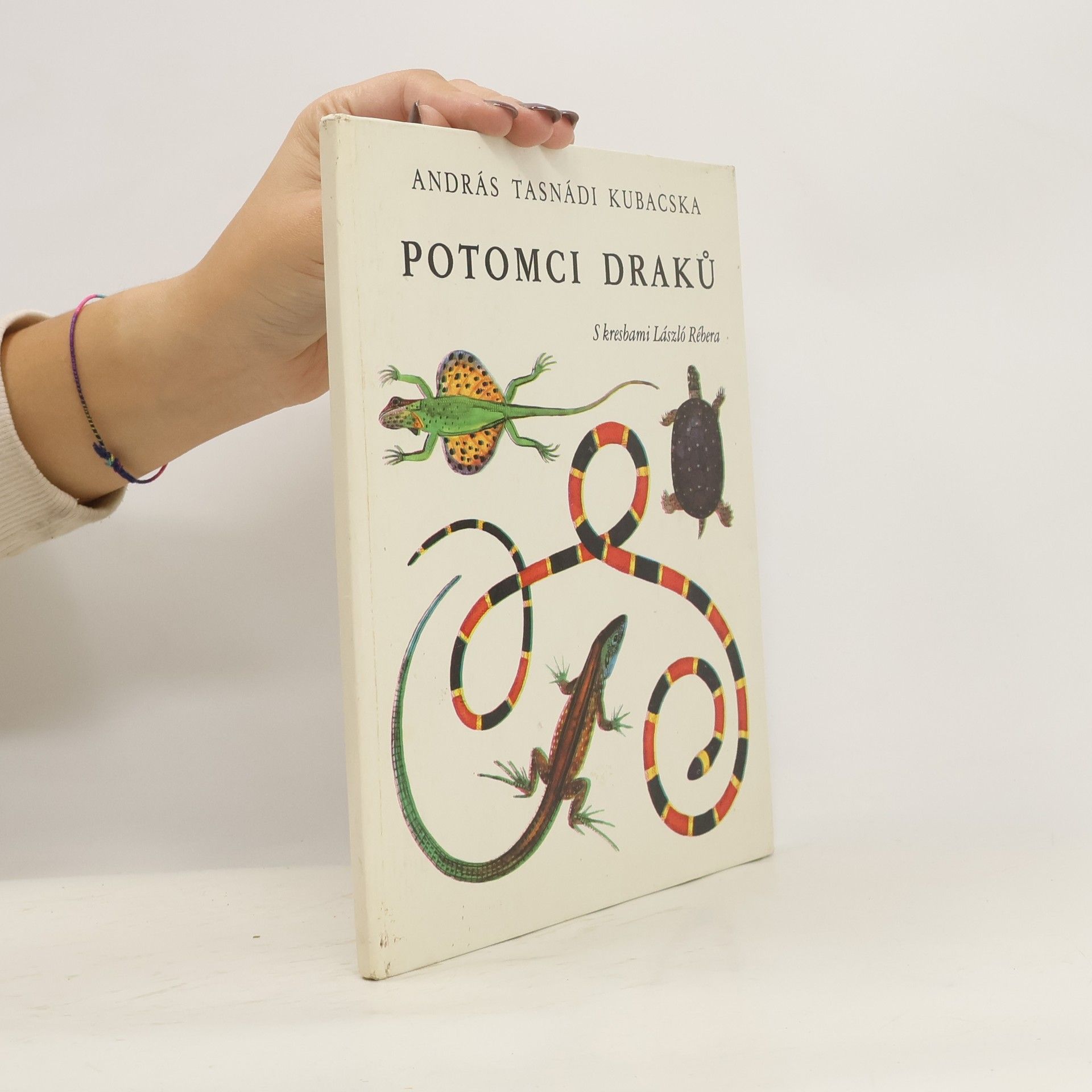 András Tasnádi Kubacska Potomci draků