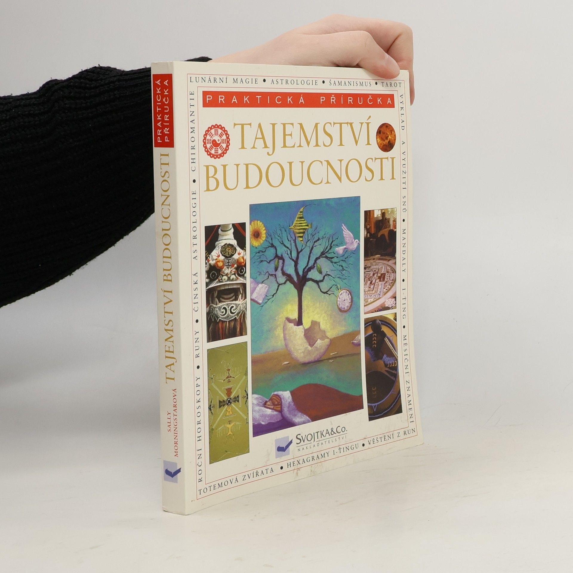 Sally Morningstar Tajemství budoucnosti