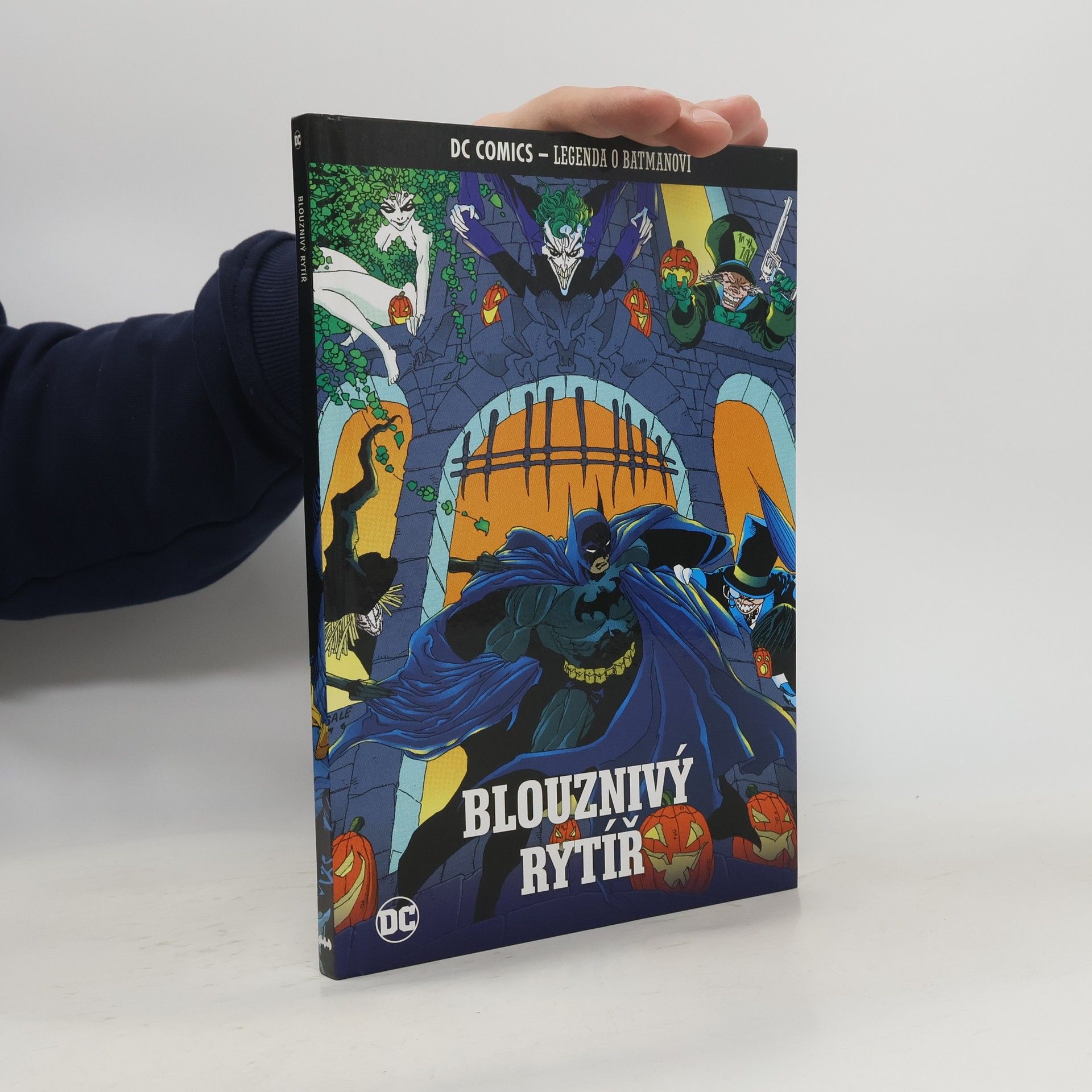 Collectif d'auteurs Blouznivý rytíř