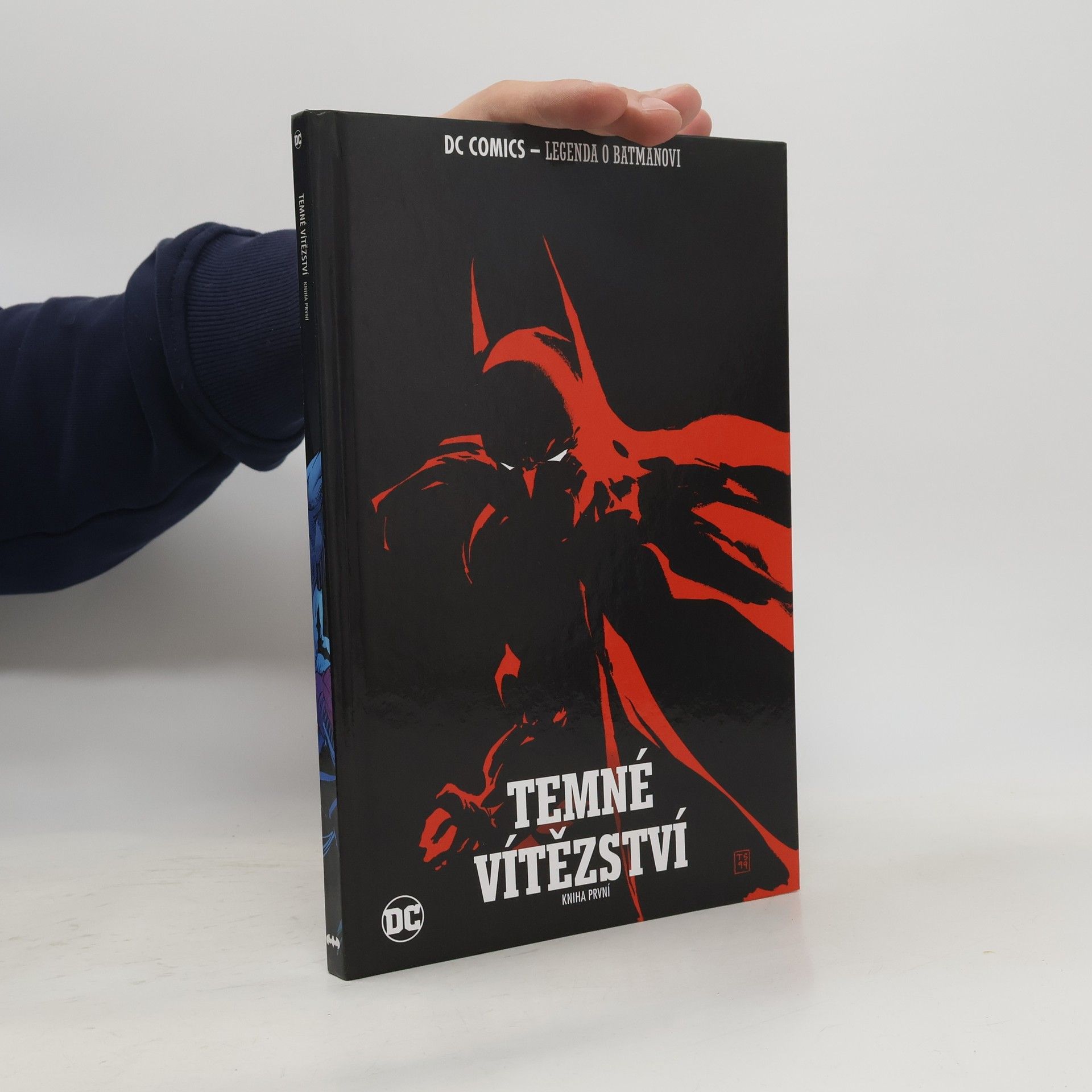 Jeph Loeb Batman, Temné vítězství - kniha první