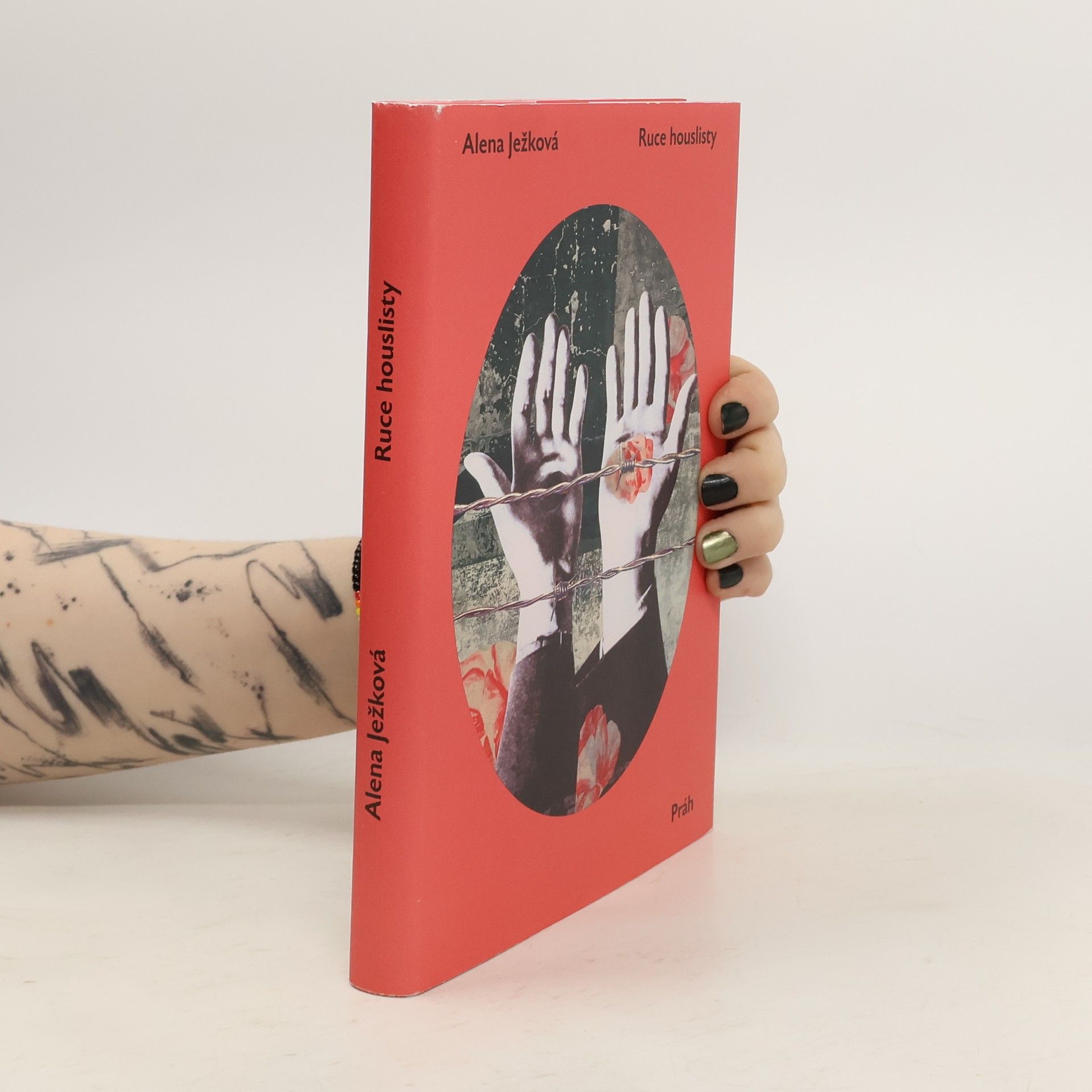 Alena Ježková Ruce houslisty