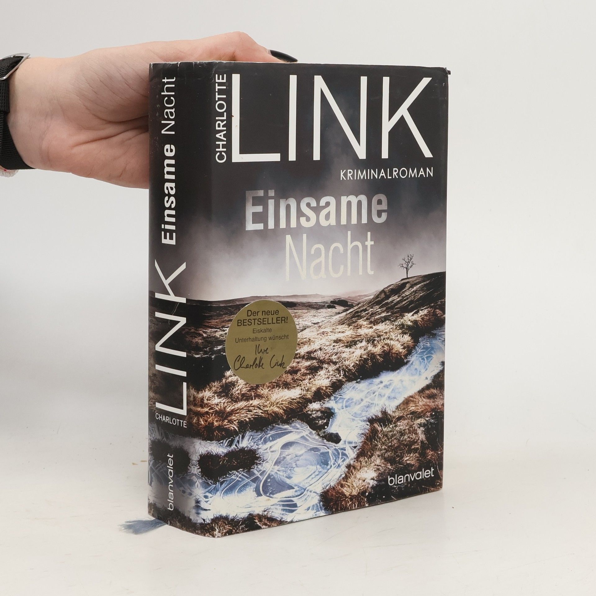 Charlotte Link Einsame Nacht