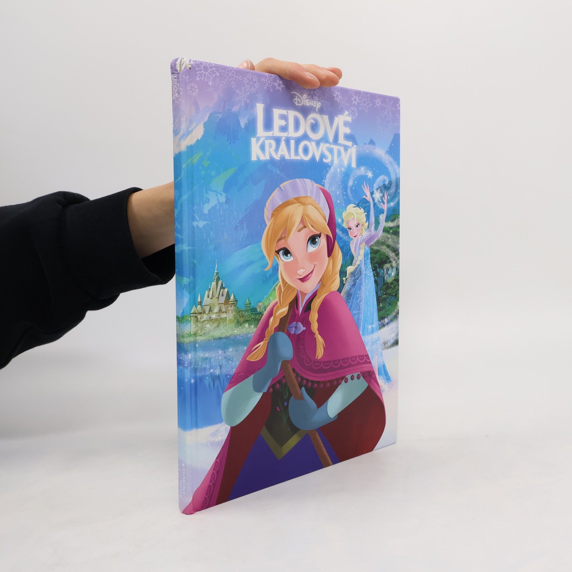 Kolektiv autorů Ledové království