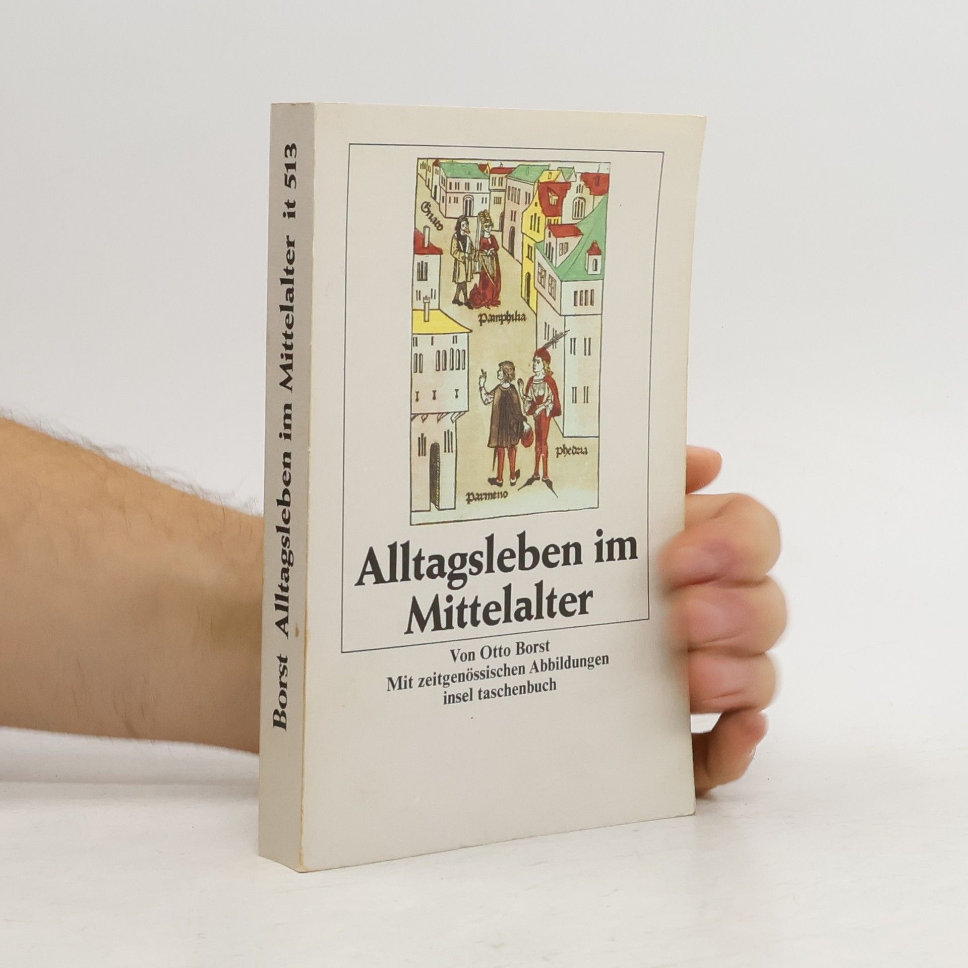 Otto Borst Alltagsleben im Mittelalter