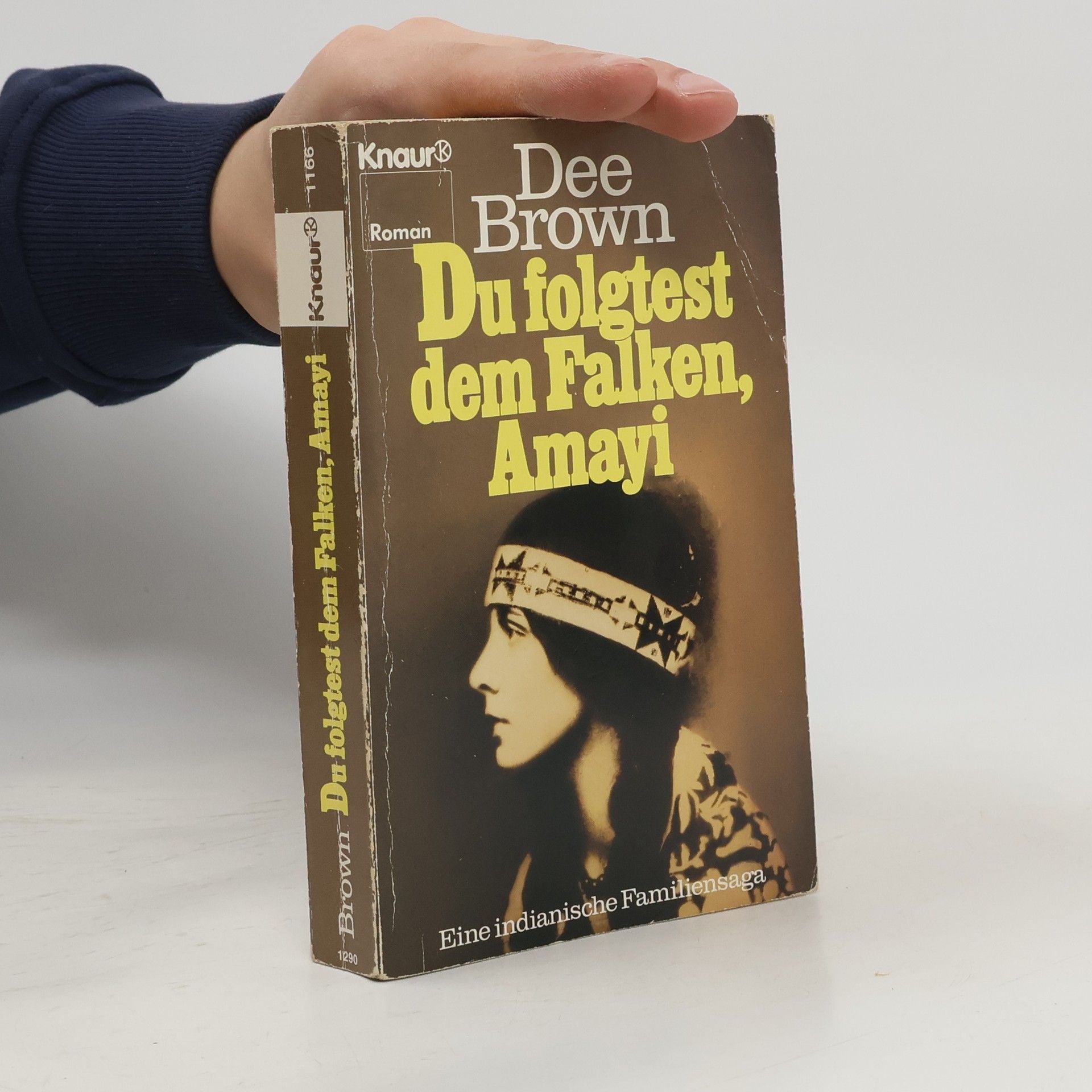 Dee Brown Du folgtest dem Falken, Amayi. Eine indianische Familiensaga
